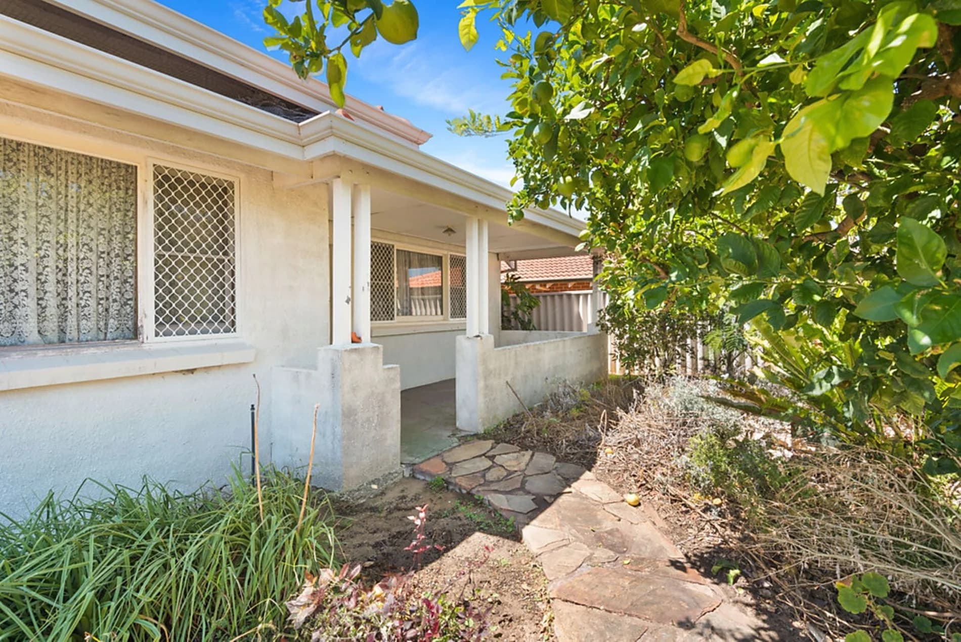 ORCHARD ON OKELY, 14 Okely Road, Carine WA 6020, Carine - Thumbnail 7