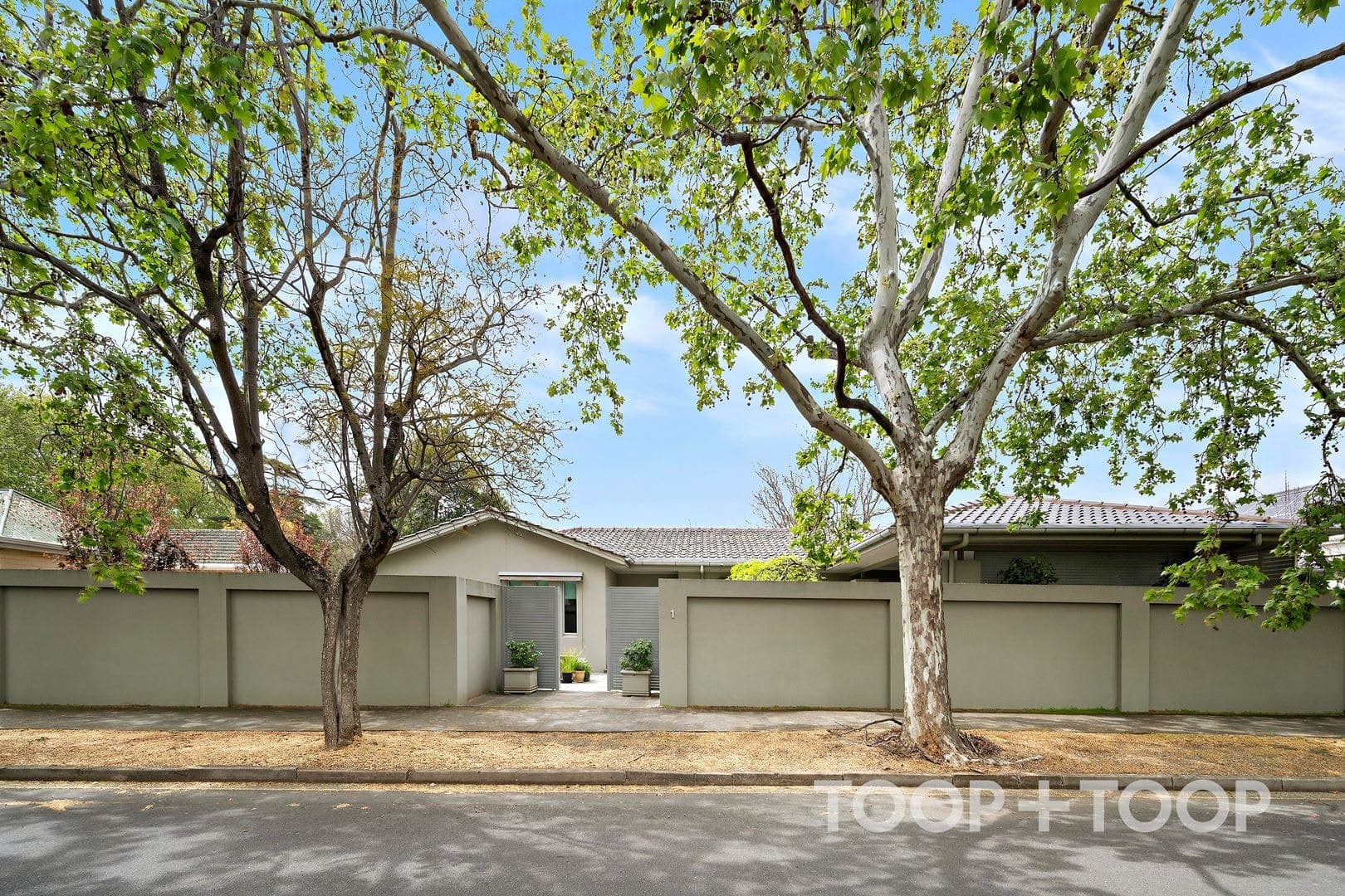 1 Elm Street, Unley Park SA 5061, Unley Park - Image 1