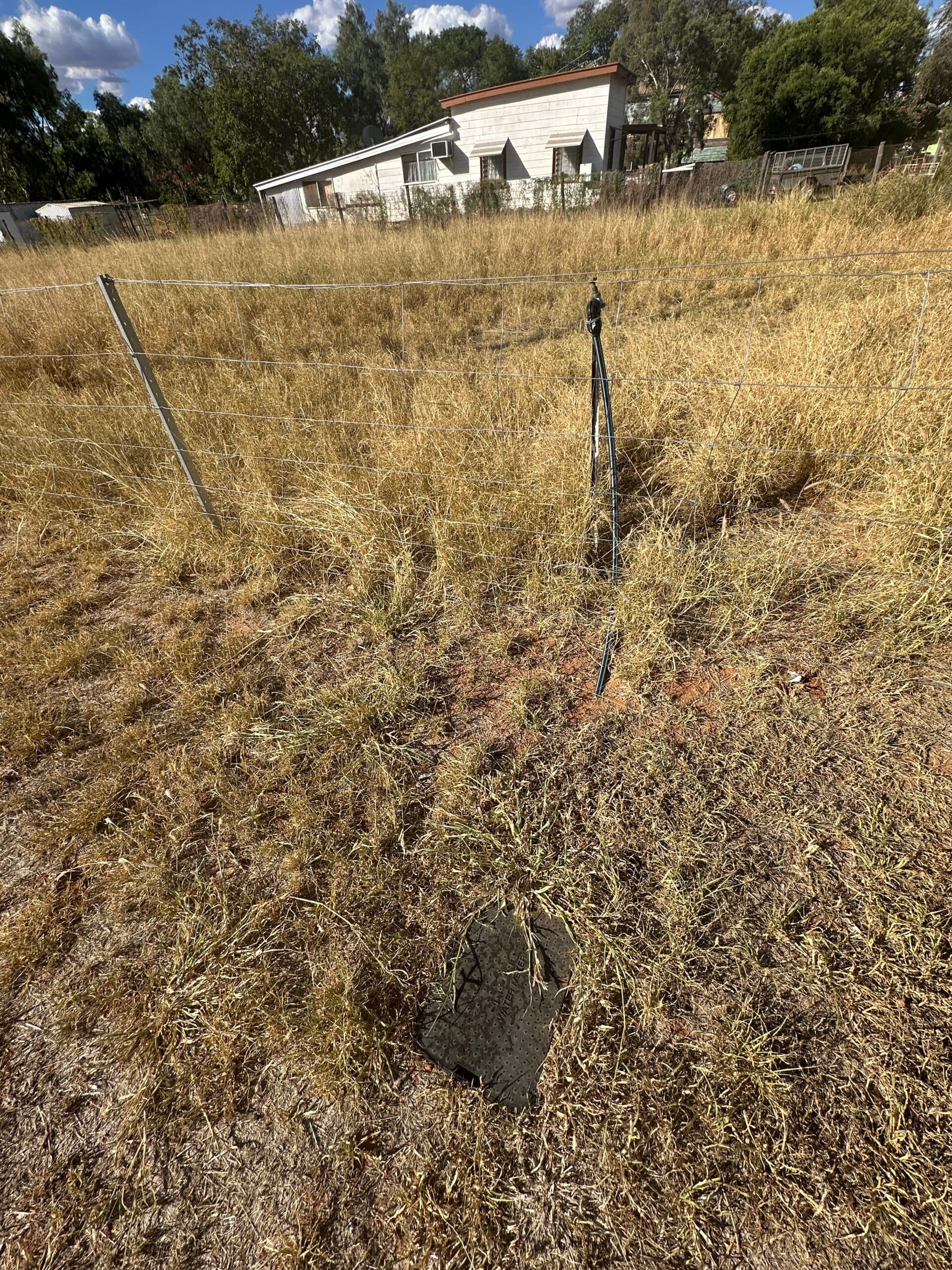 21 Alfred Street, Charleville - Thumbnail 2