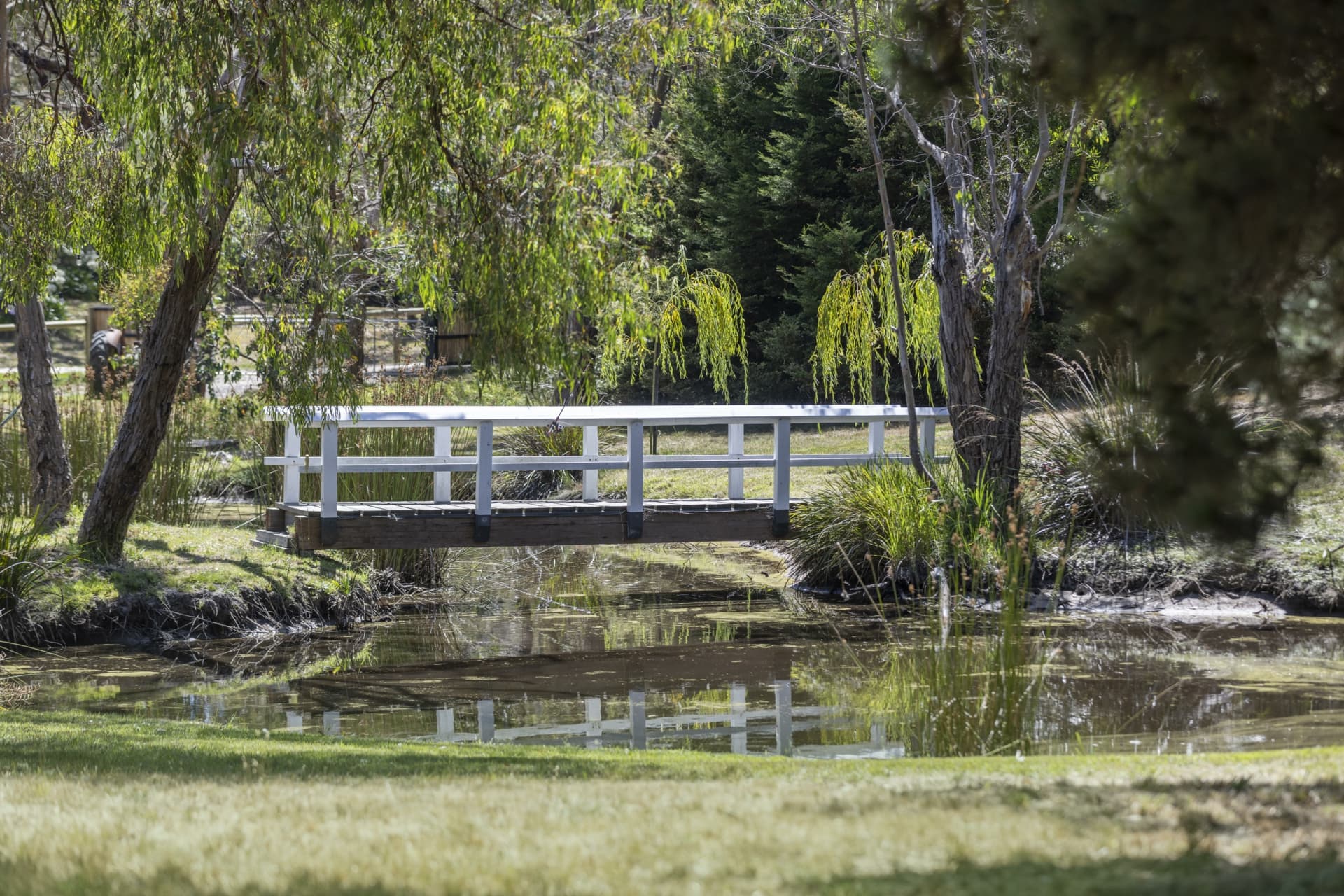 15A Gum Hill Drive, LANGWARRIN, Langwarrin - Image 1