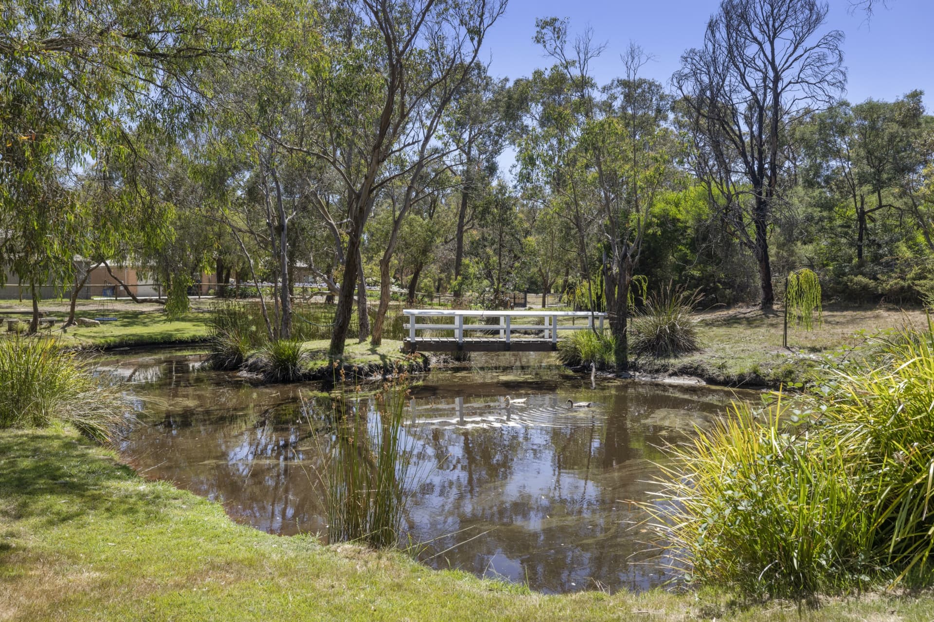 15A Gum Hill Drive, LANGWARRIN, Langwarrin - Thumbnail 7