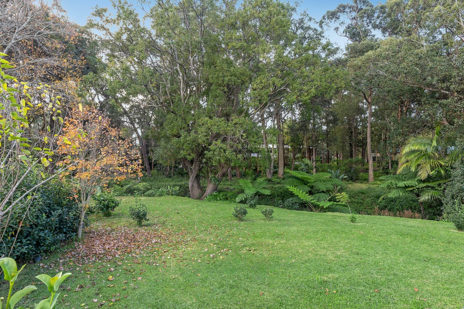 369 Terrigal Drive, ERINA, Erina - Thumbnail 7
