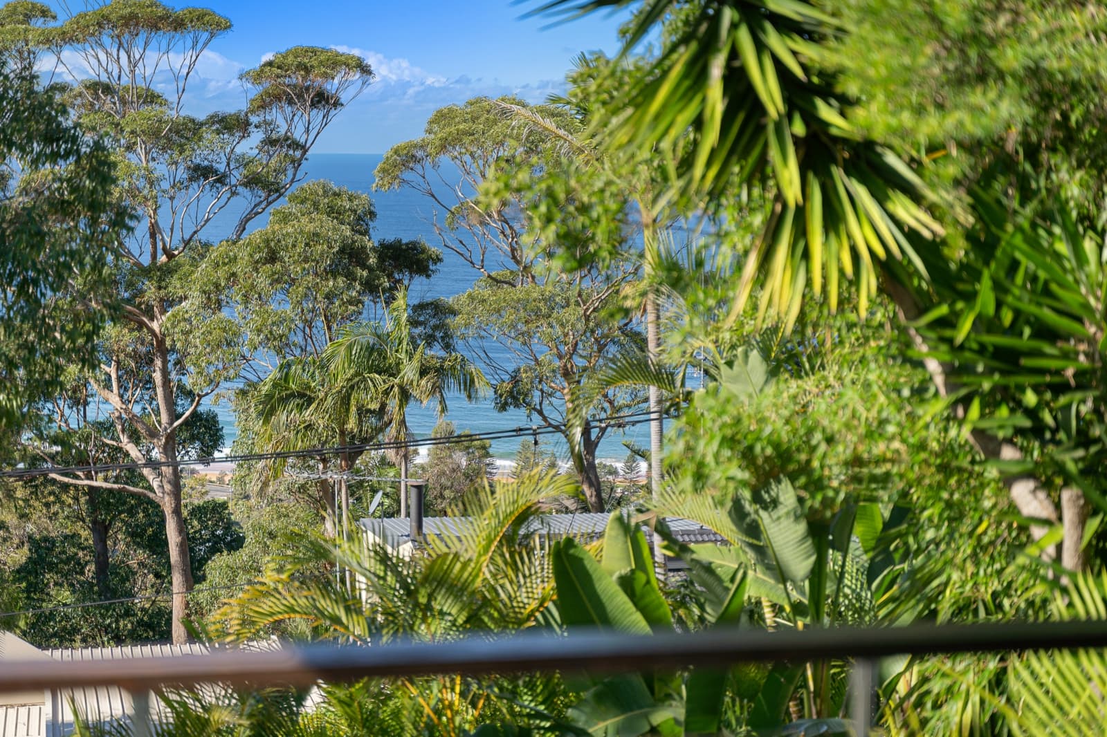 21 York Terrace, BILGOLA PLATEAU, Bilgola Plateau - Thumbnail 3