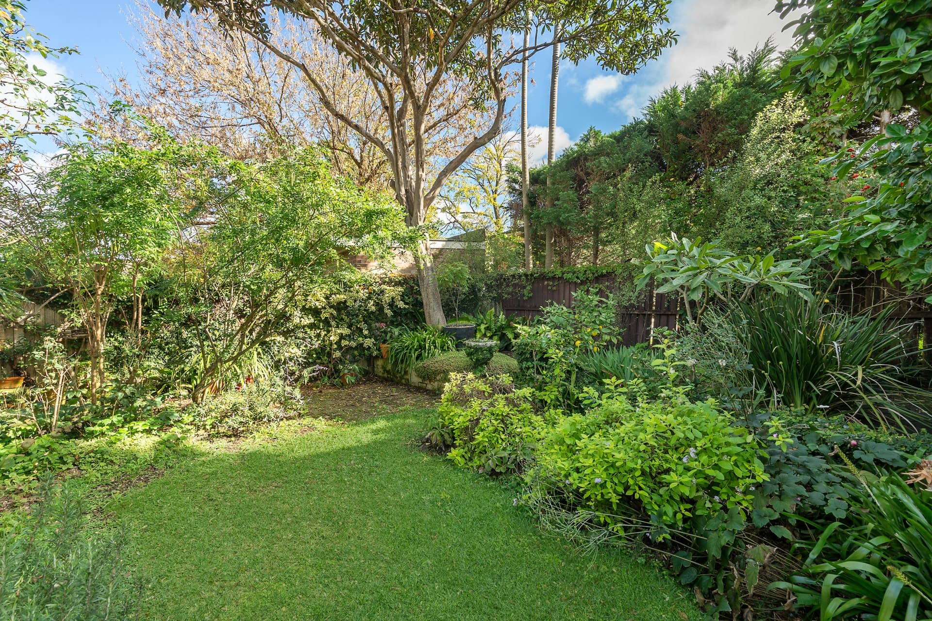 26 O'Connor Street, HABERFIELD, Haberfield - Thumbnail 6