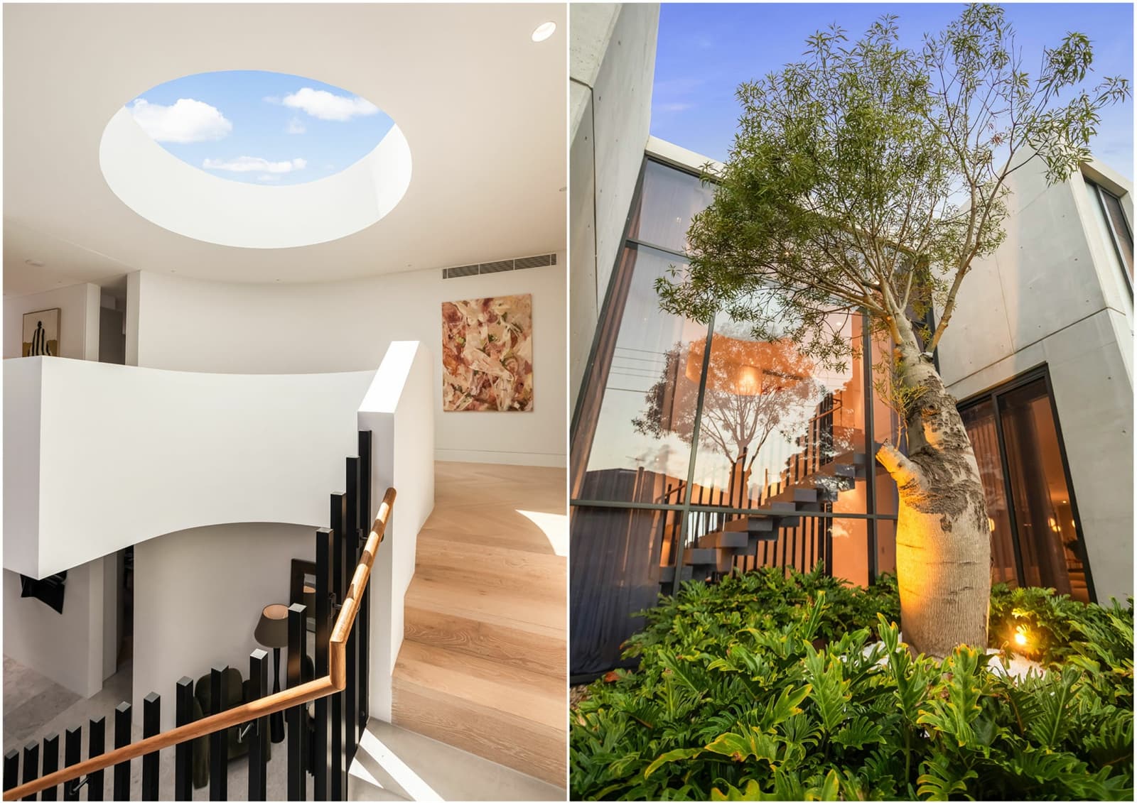 44 Newton Road, STRATHFIELD, Strathfield - Thumbnail 8