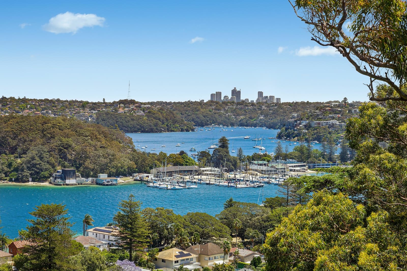 39 Adelaide Street, CLONTARF, Clontarf - Thumbnail 7
