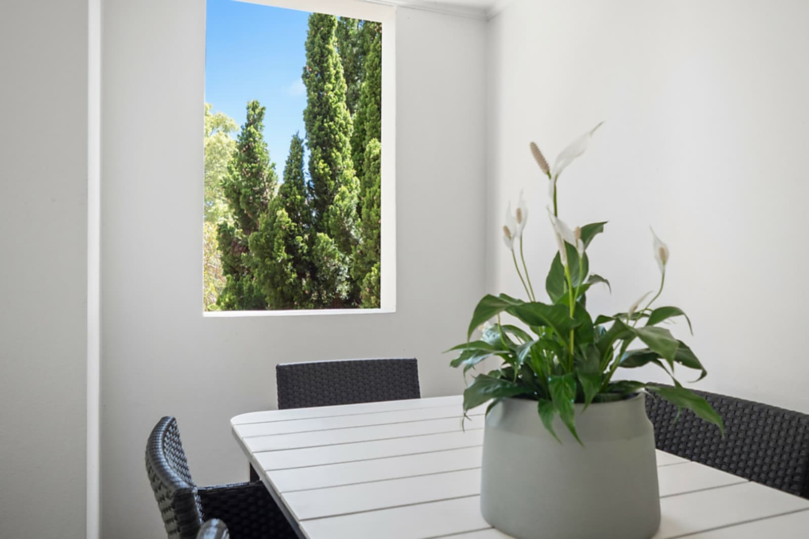 5 Flinton Street, PADDINGTON, Paddington - Thumbnail 4