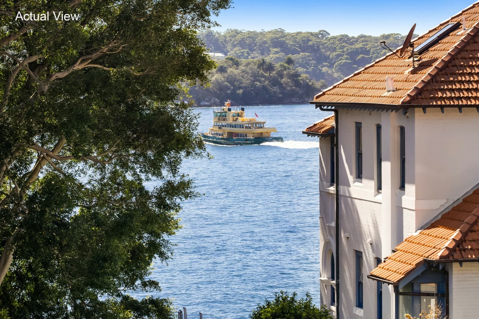 12 Holbrook Avenue, KIRRIBILLI, Kirribilli - Thumbnail 5