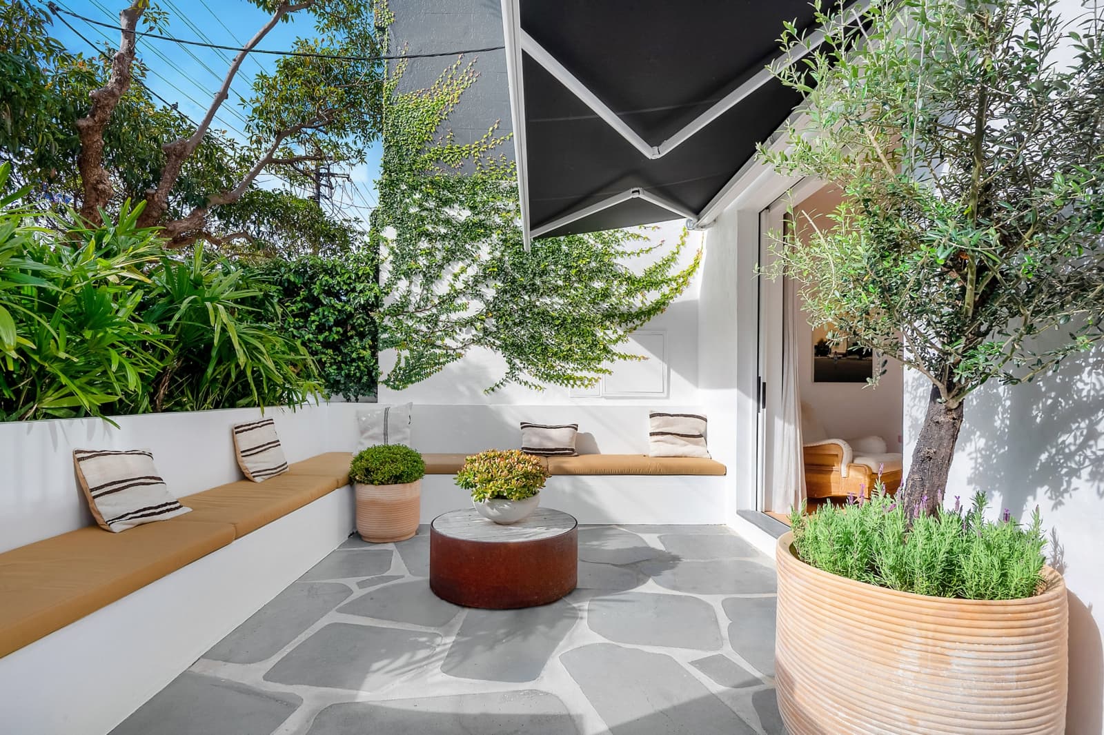 5 Forth Street, WOOLLAHRA, Woollahra - Thumbnail 4