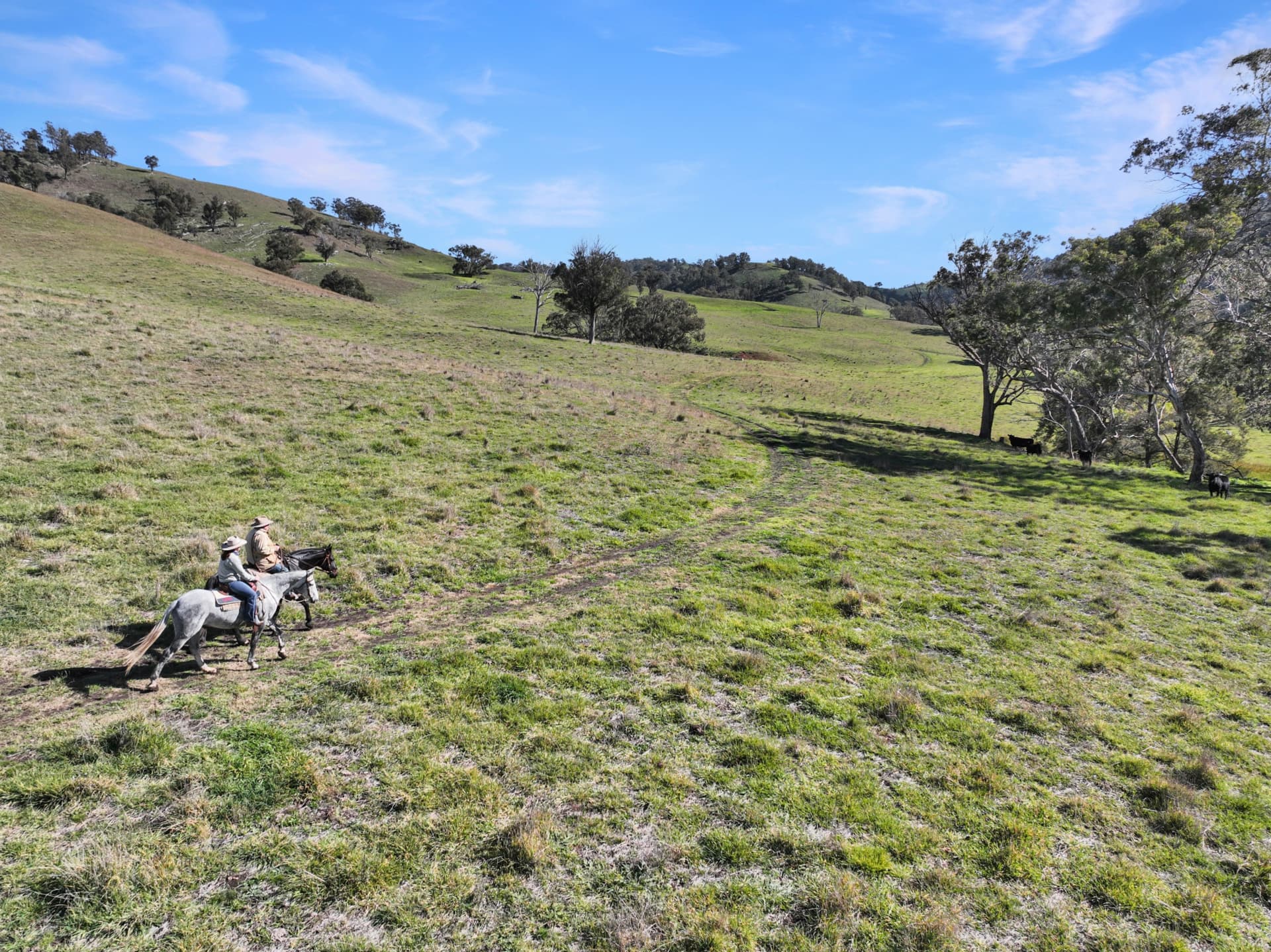 1609 Pages Creek Road Road, SCONE, Scone - Thumbnail 6
