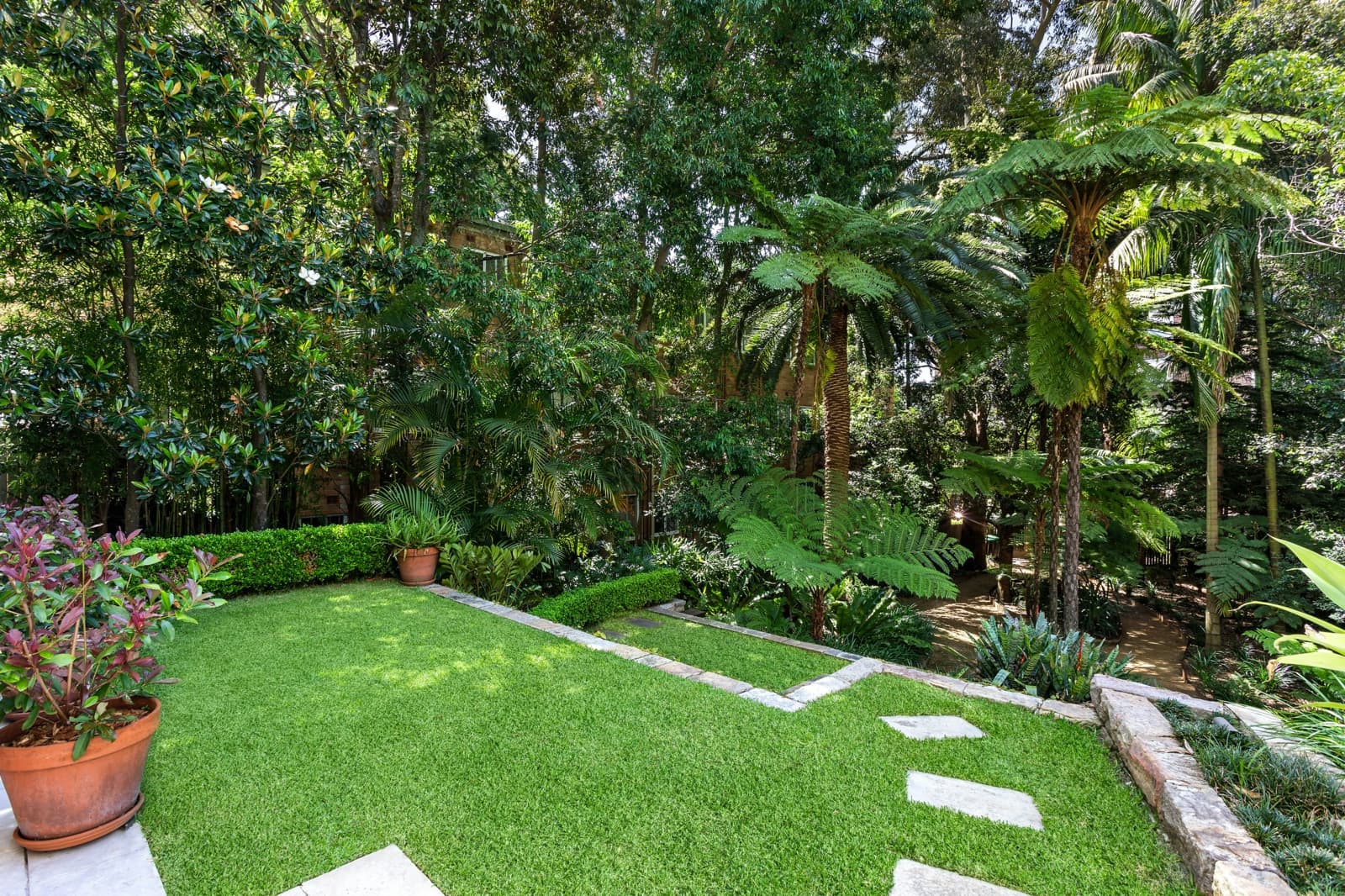 8 Cooper Street, PADDINGTON, Paddington - Thumbnail 5