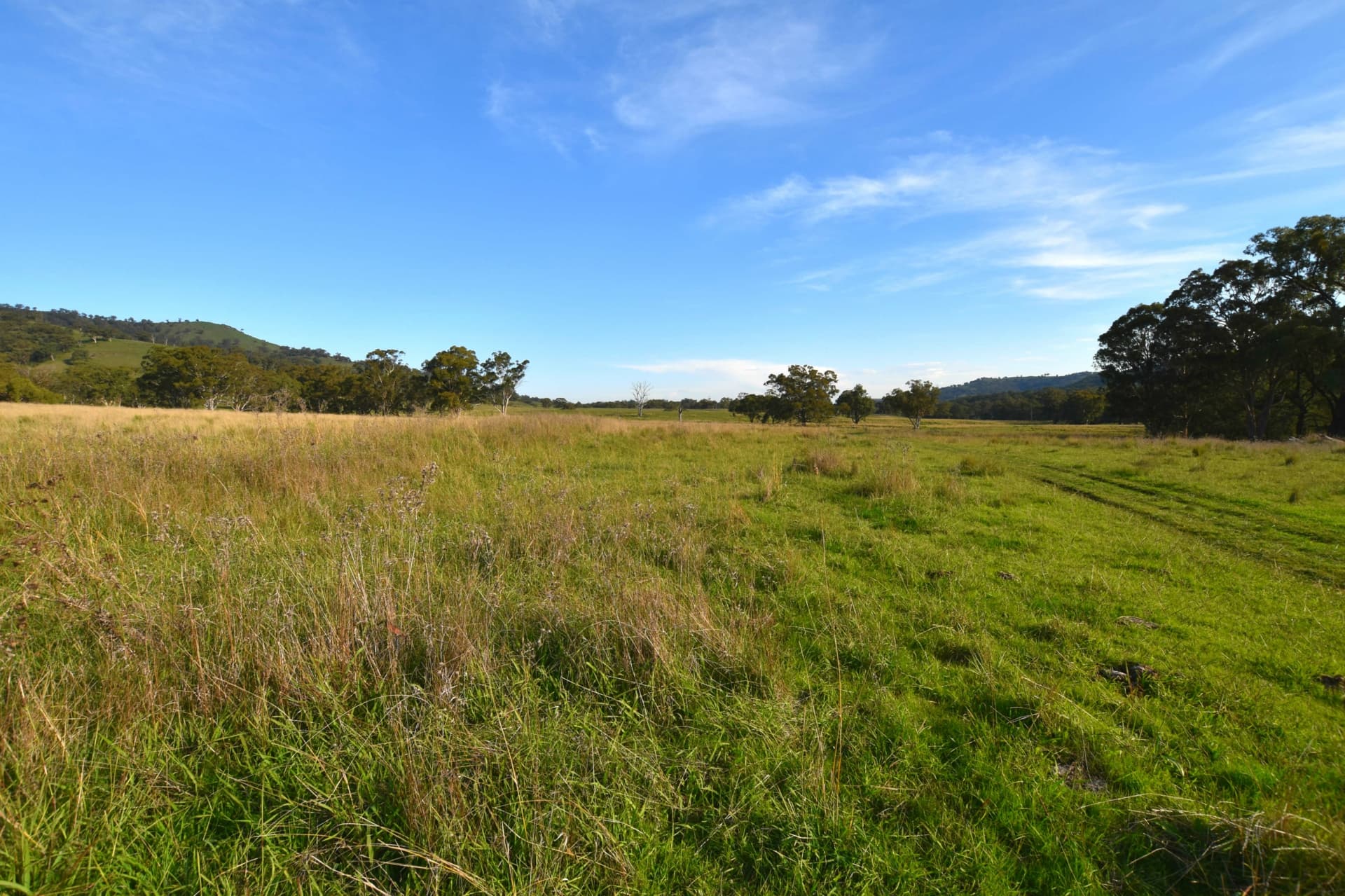 463 Middle Creek Road, MERRIWA, Merriwa - Thumbnail 8