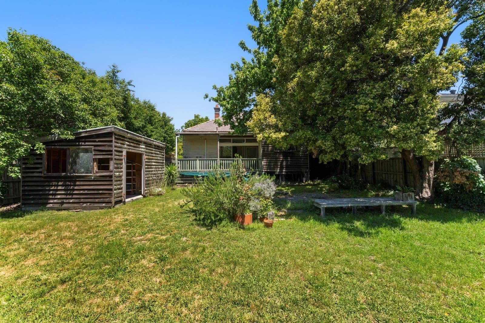 53 Paxton Street, Malvern East - Thumbnail 4