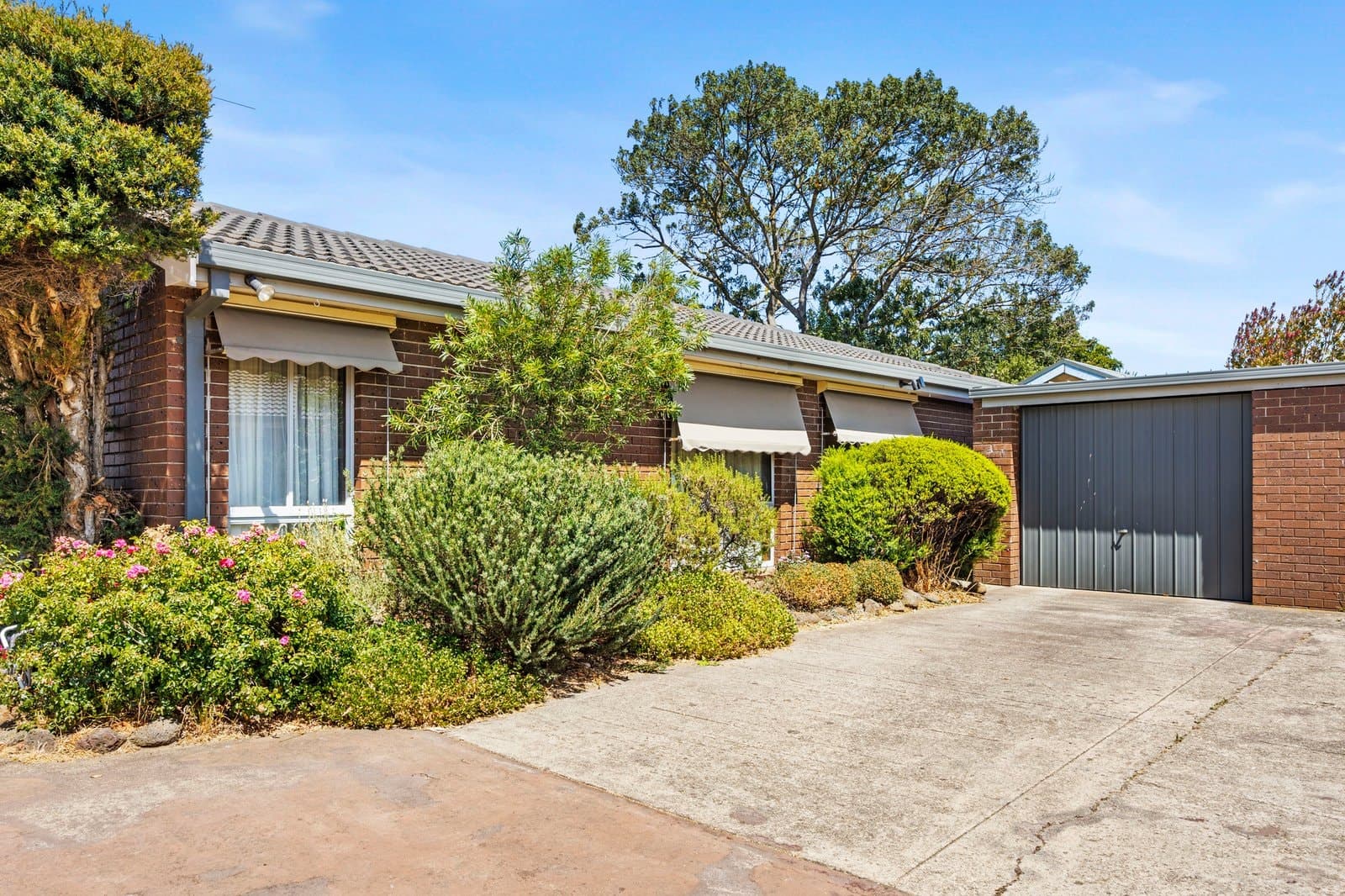 5/17 Van Ness Avenue, Mornington - Image 1