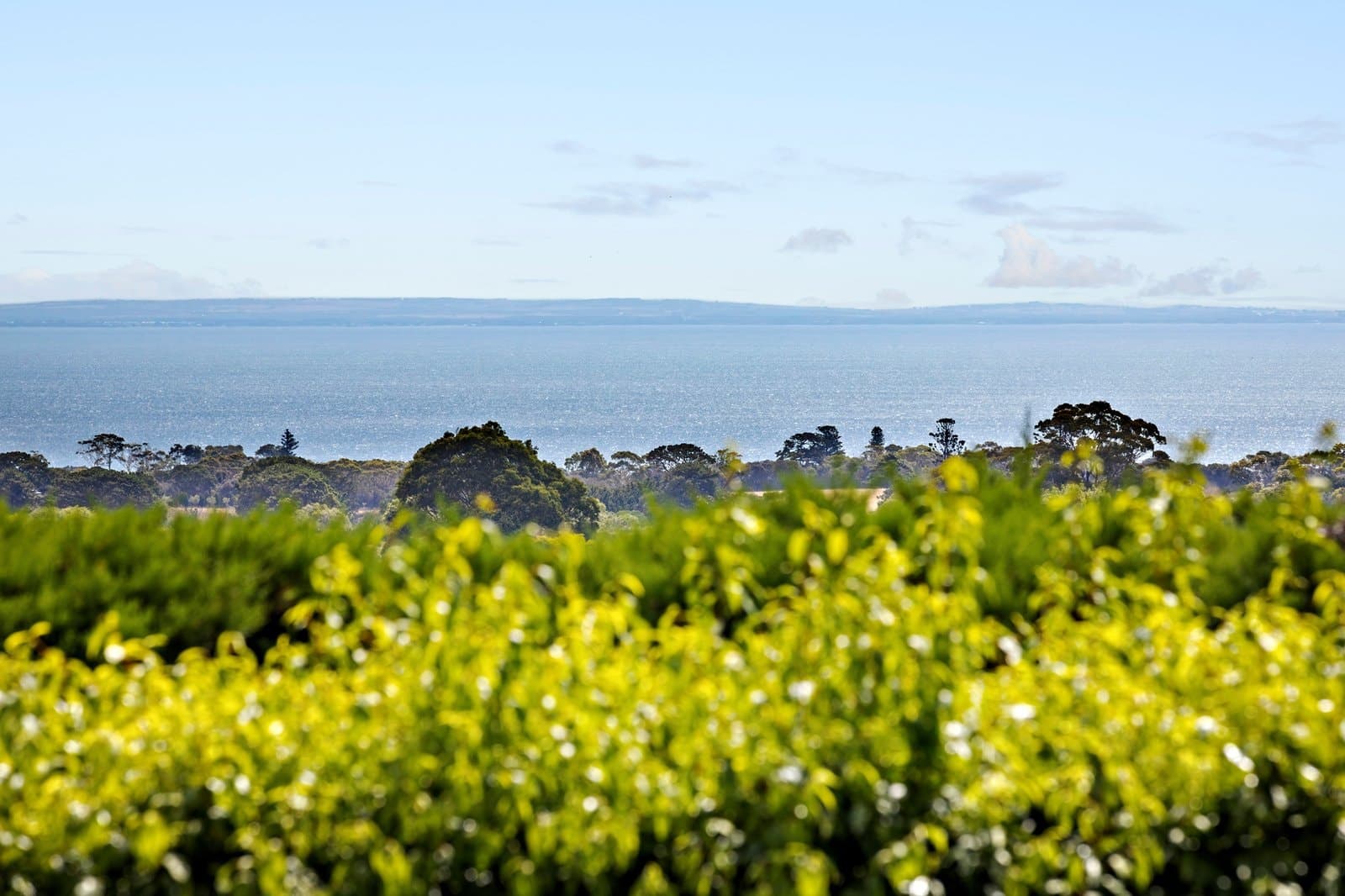 148 Wooralla Drive, Mount Eliza - Thumbnail 4