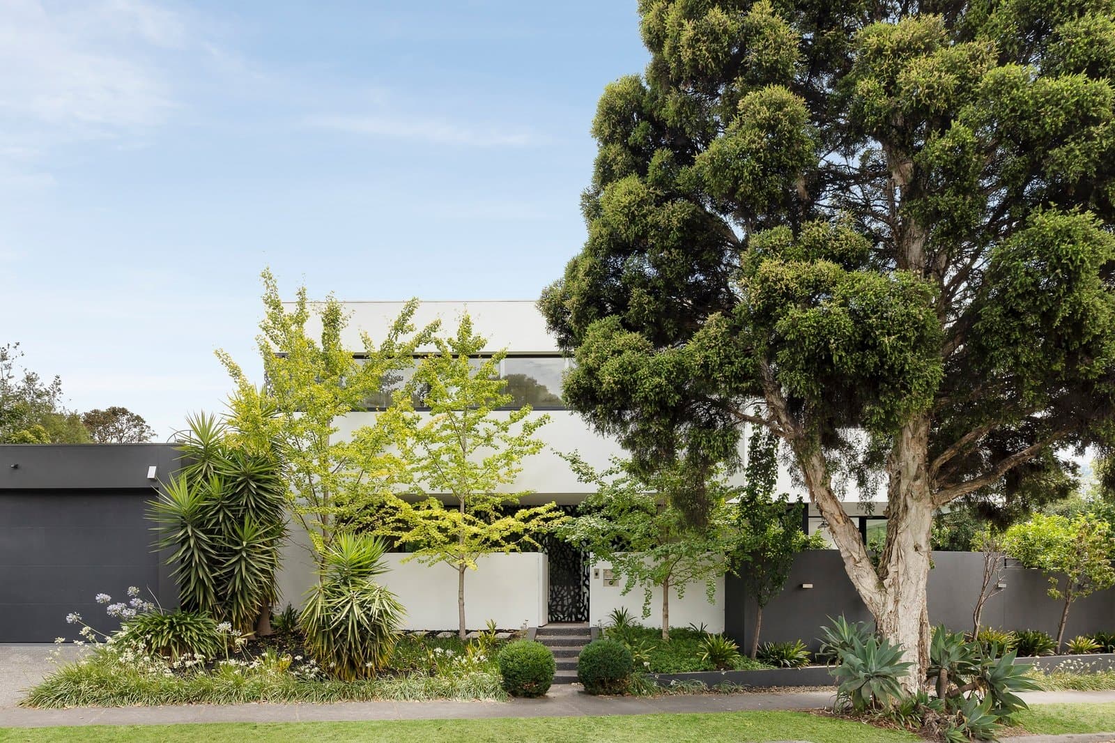 6 Agnes Avenue, Balwyn North - Thumbnail 3