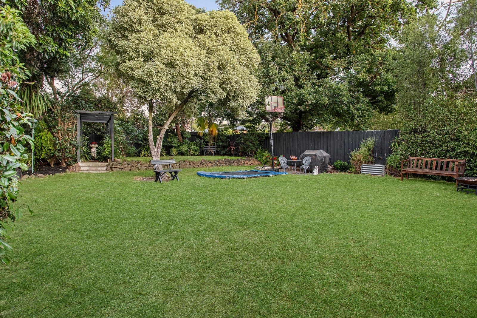 31 Grandview Avenue, Glen Iris - Thumbnail 6