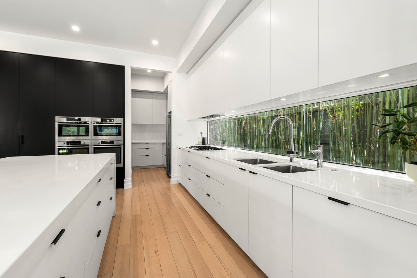 46 Ewart Street, Malvern - Thumbnail 5