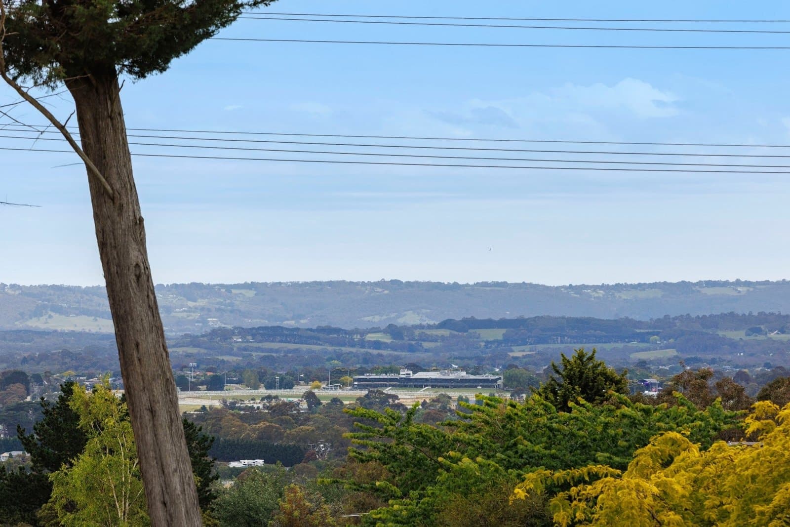 6 Crossley Road, Mount Eliza - Thumbnail 8