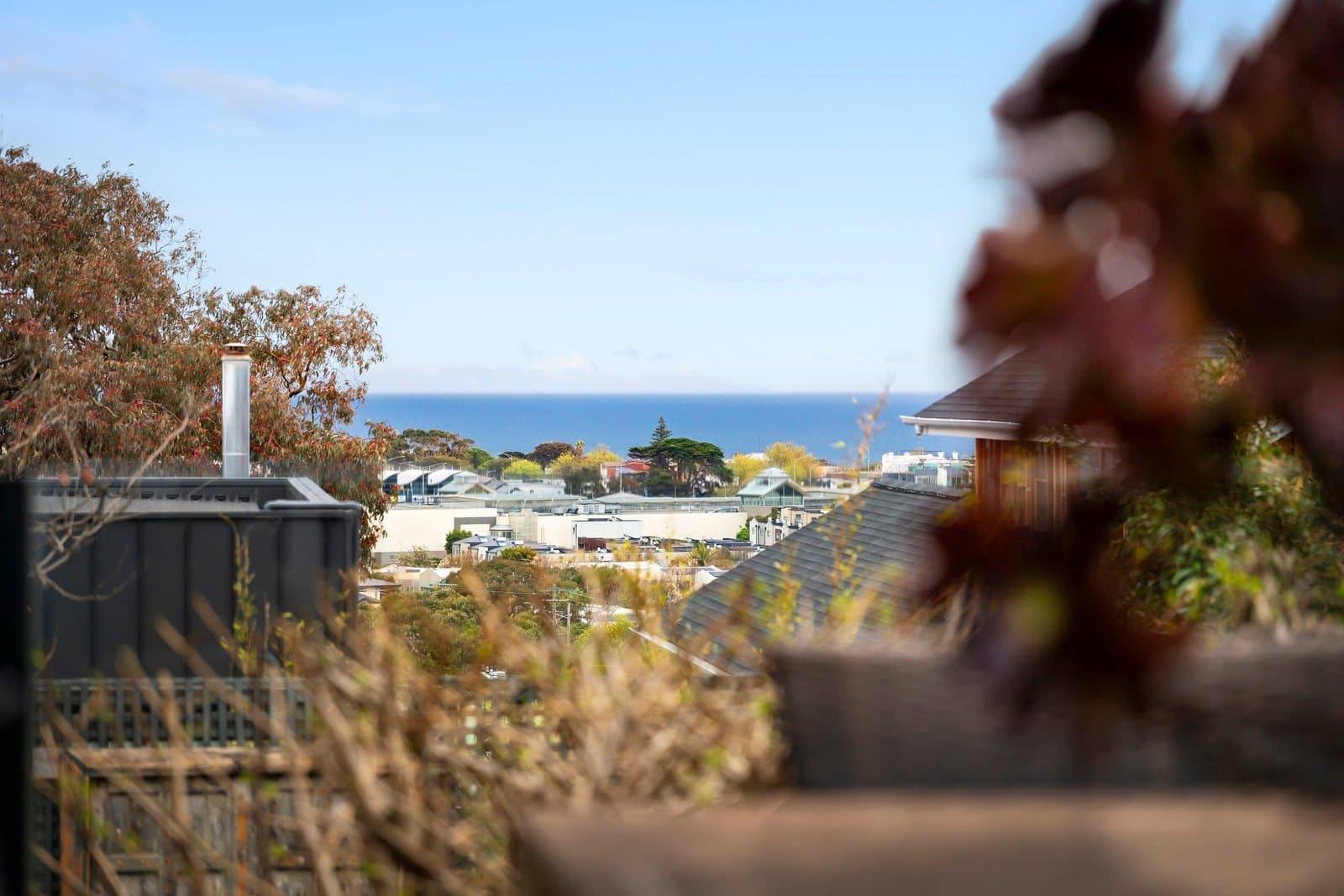 15 Morven Street, Mornington - Thumbnail 7