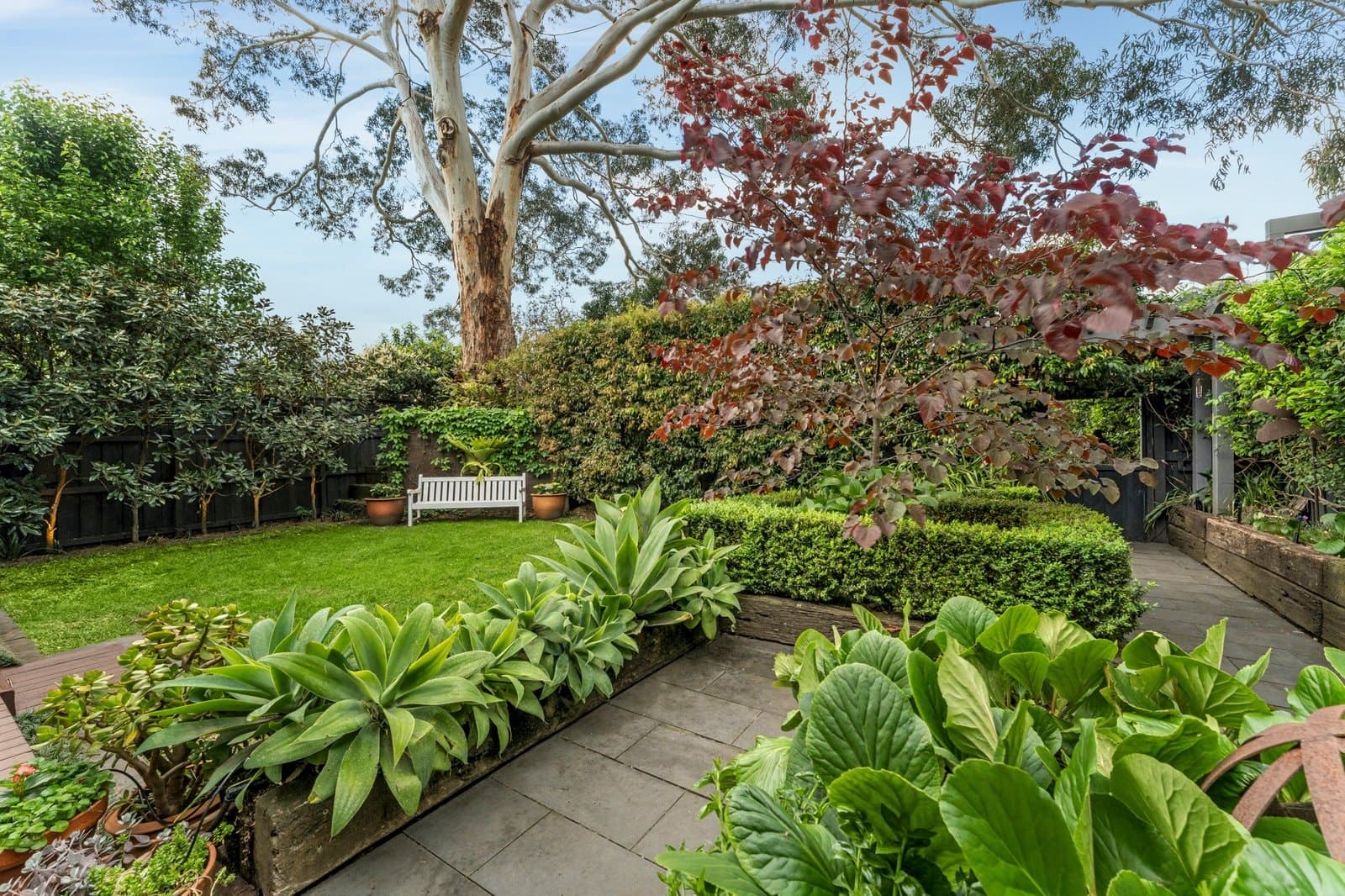 3 Golding Street, Canterbury - Thumbnail 8