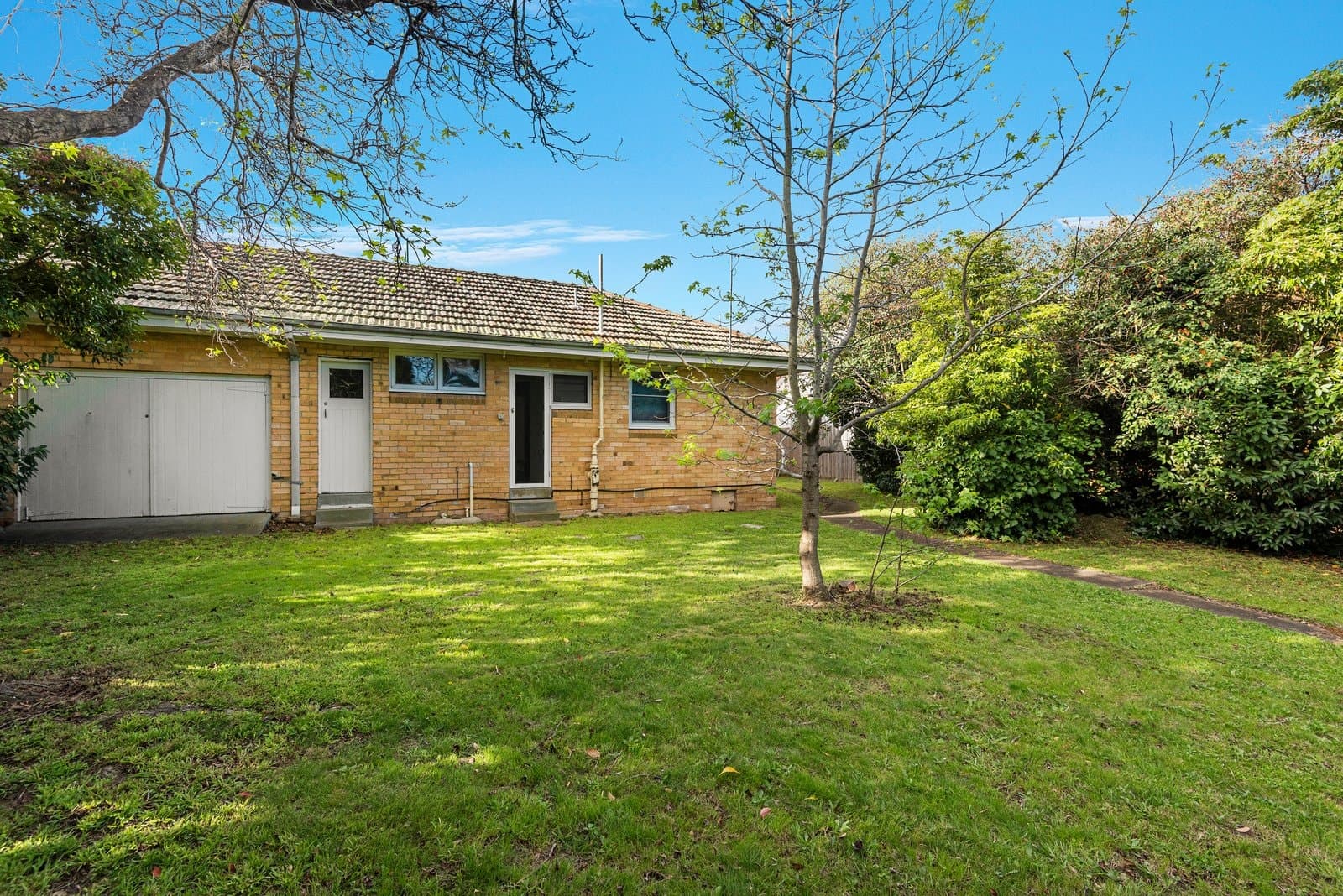 572 Whitehorse Road, Surrey Hills - Thumbnail 4