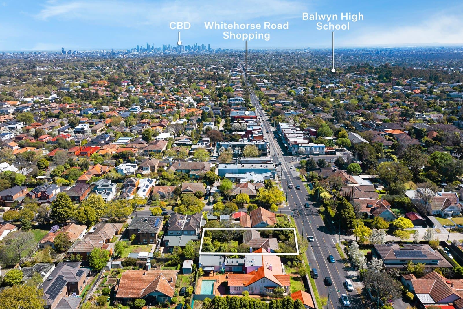 572 Whitehorse Road, Surrey Hills - Thumbnail 5