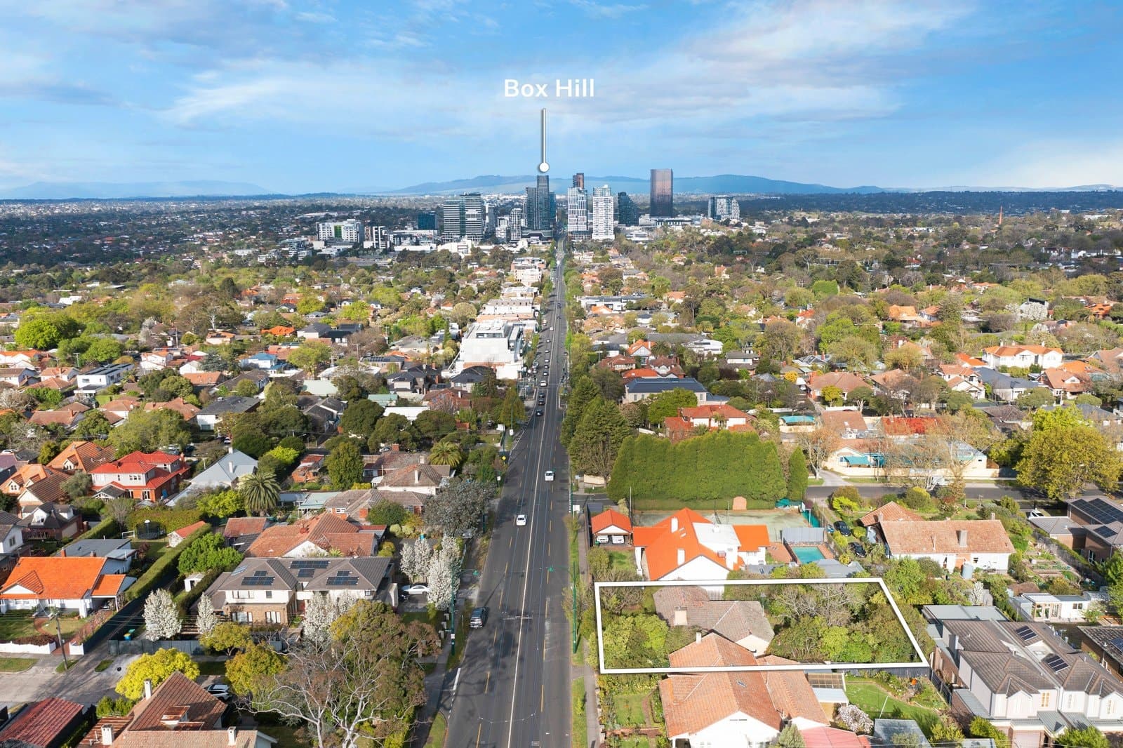 572 Whitehorse Road, Surrey Hills - Thumbnail 6