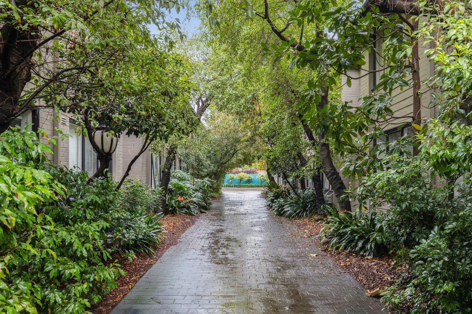 7/6-8 Avondale Road, Armadale - Thumbnail 6