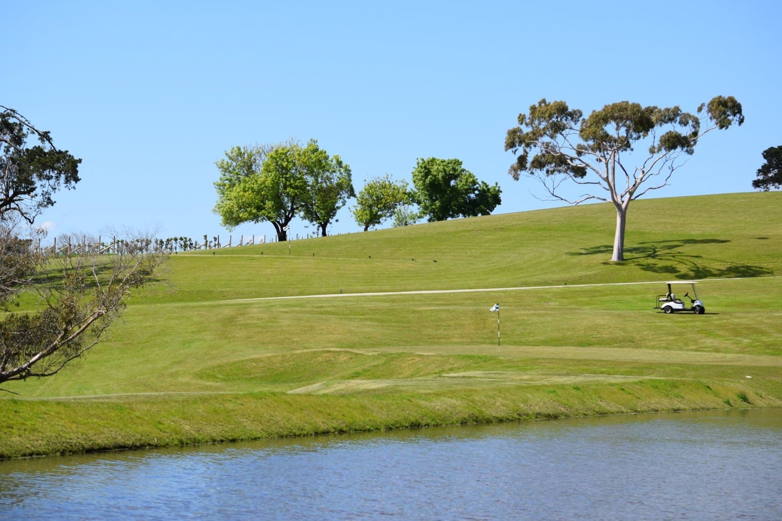 Red Hill, 3937, 3937, Red Hill - Thumbnail 7