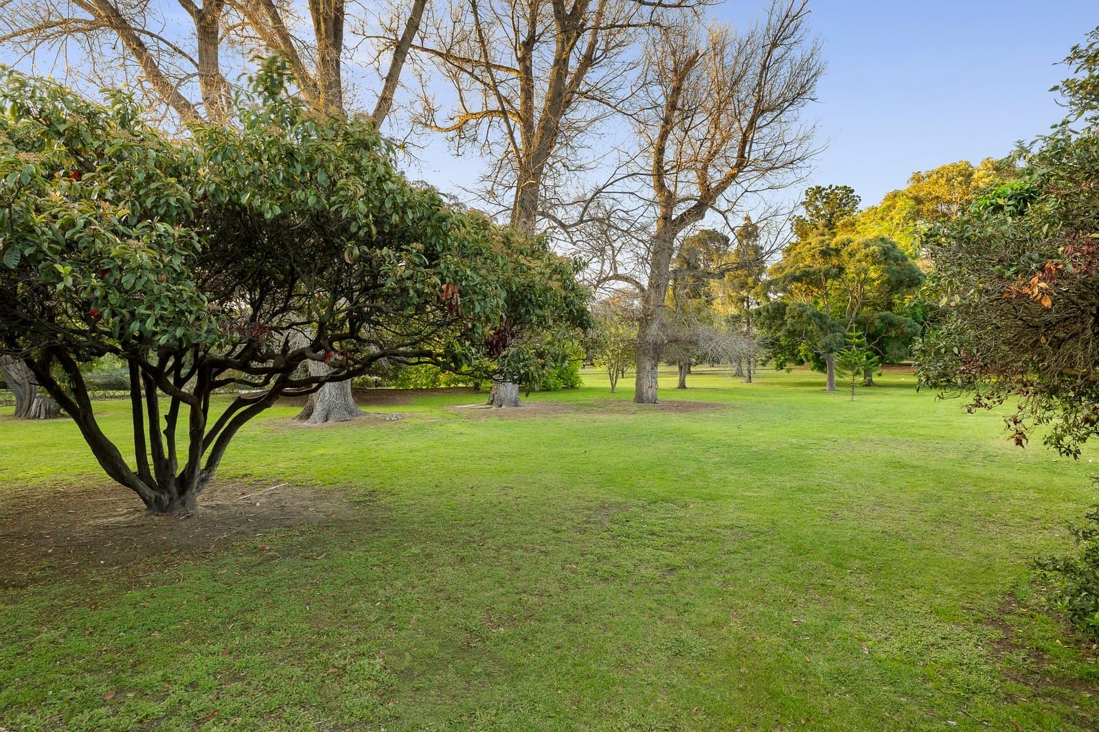 18/3 Landcox Street, Brighton East - Thumbnail 7