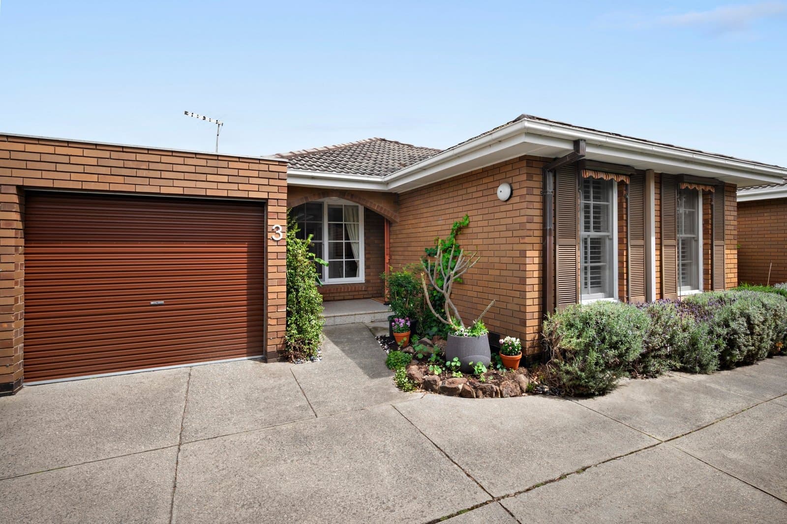 3/123 Cochrane Street, Brighton - Image 1