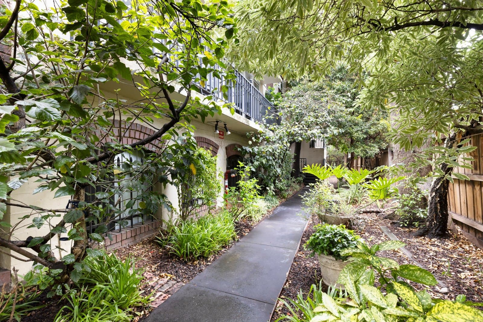 6/99 Mathoura Road, Toorak - Thumbnail 2