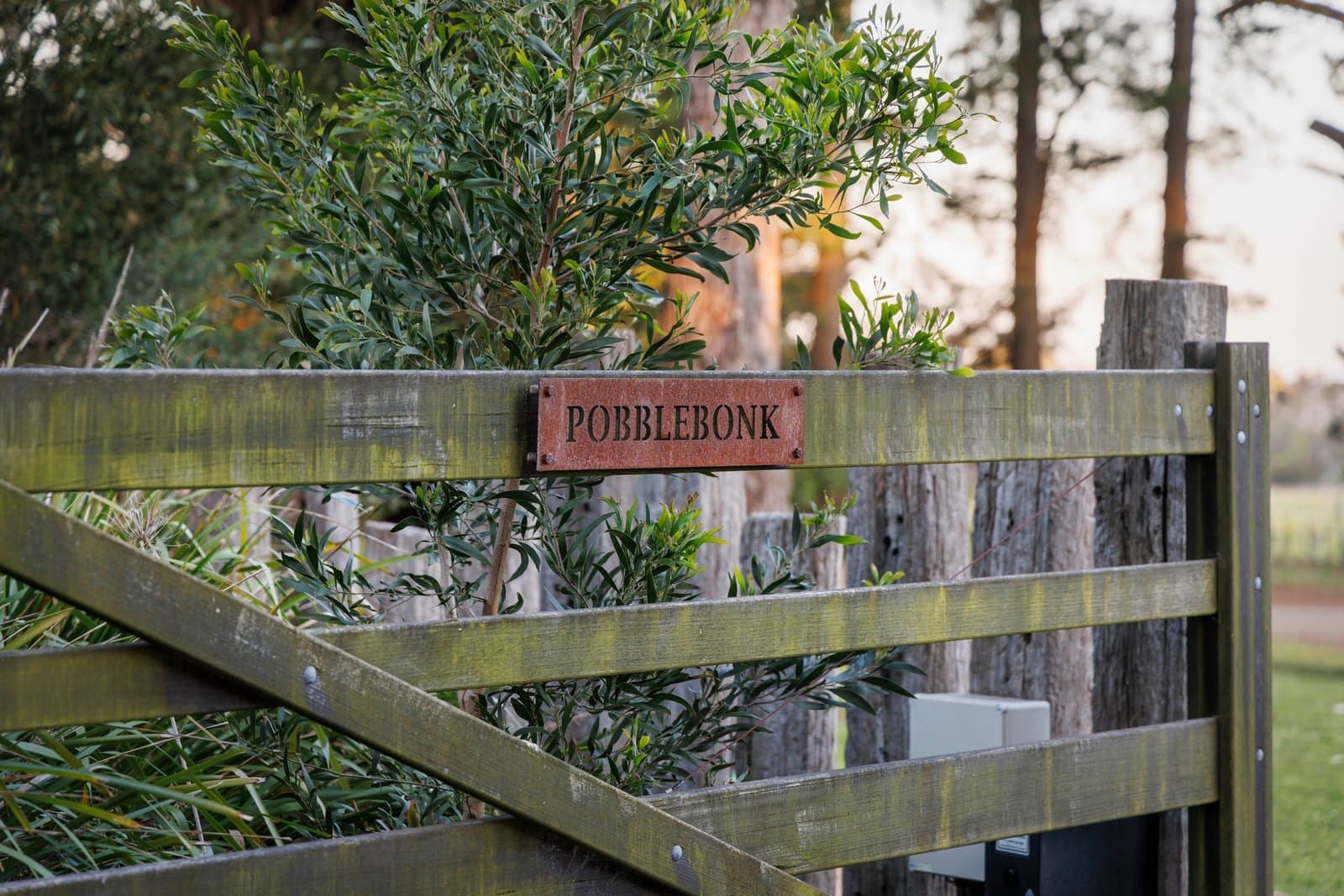 405 Stumpy Gully Road, Balnarring - Thumbnail 3