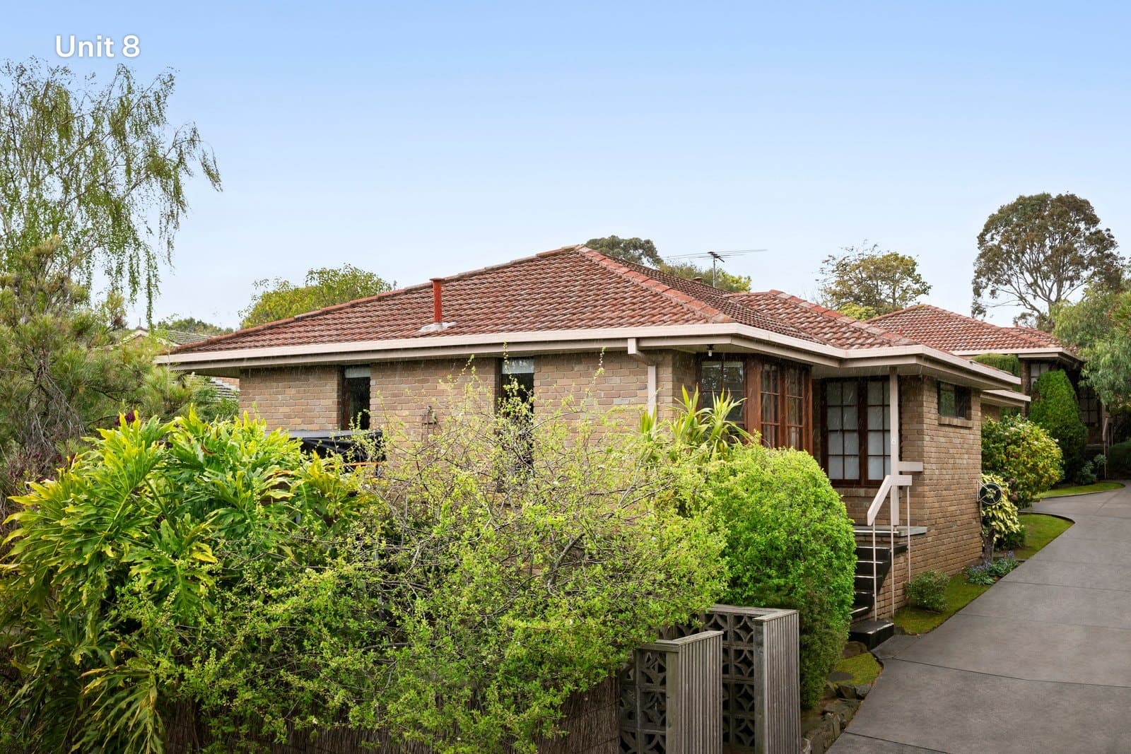 8 & 8A Belmont Avenue, Glen Iris - Thumbnail 8
