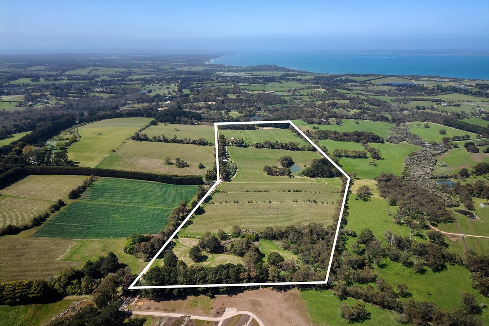 1 Callanans Road, Red Hill South - Thumbnail 2