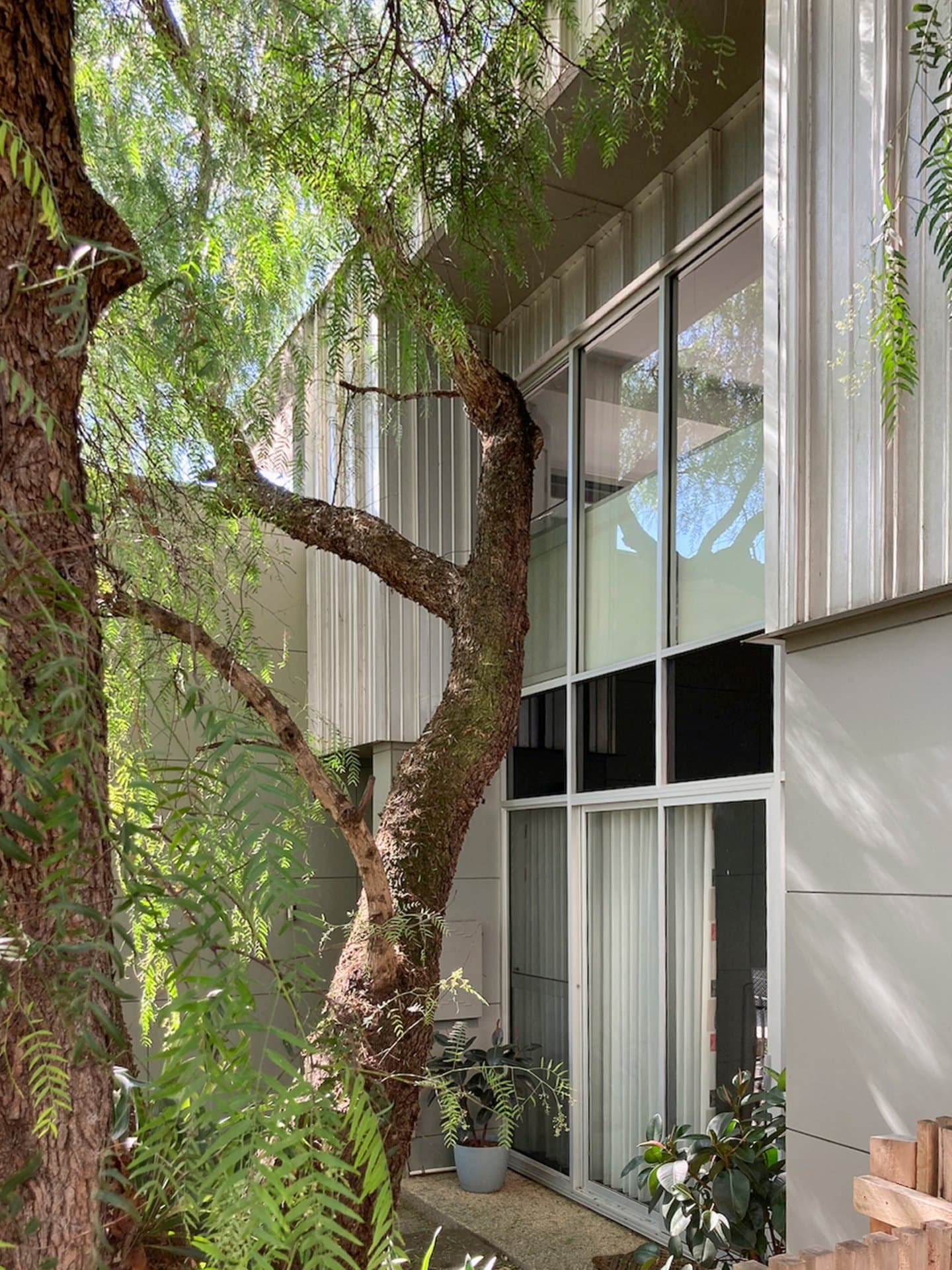 2 Peppercorn Place, Surrey Hills - Thumbnail 4