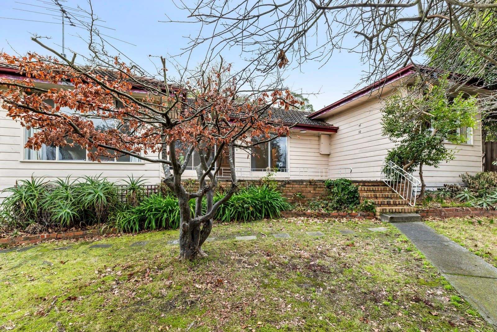 32 Evelina Street, Balwyn - Thumbnail 3