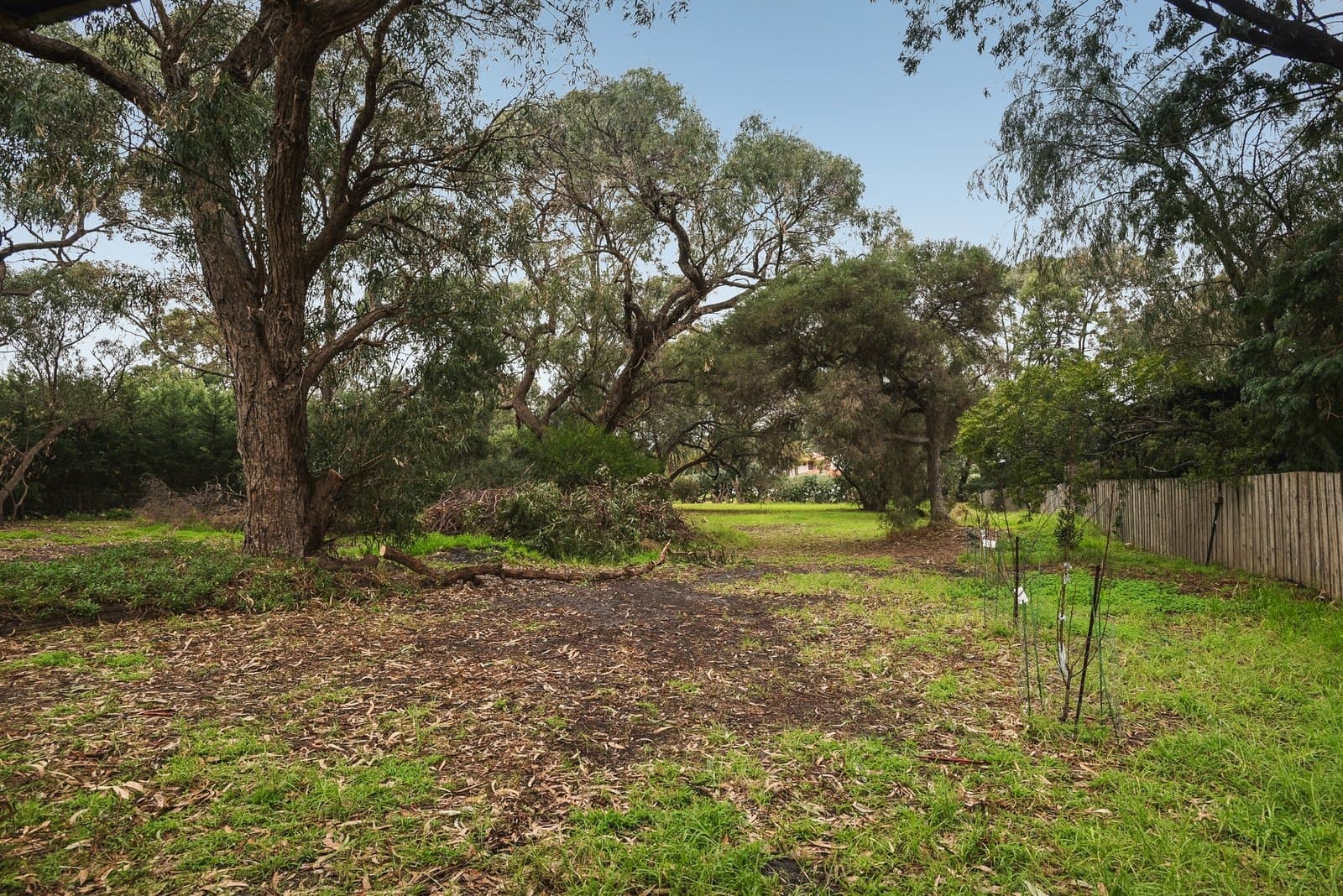 147 Farm Road, Heatherton - Thumbnail 8
