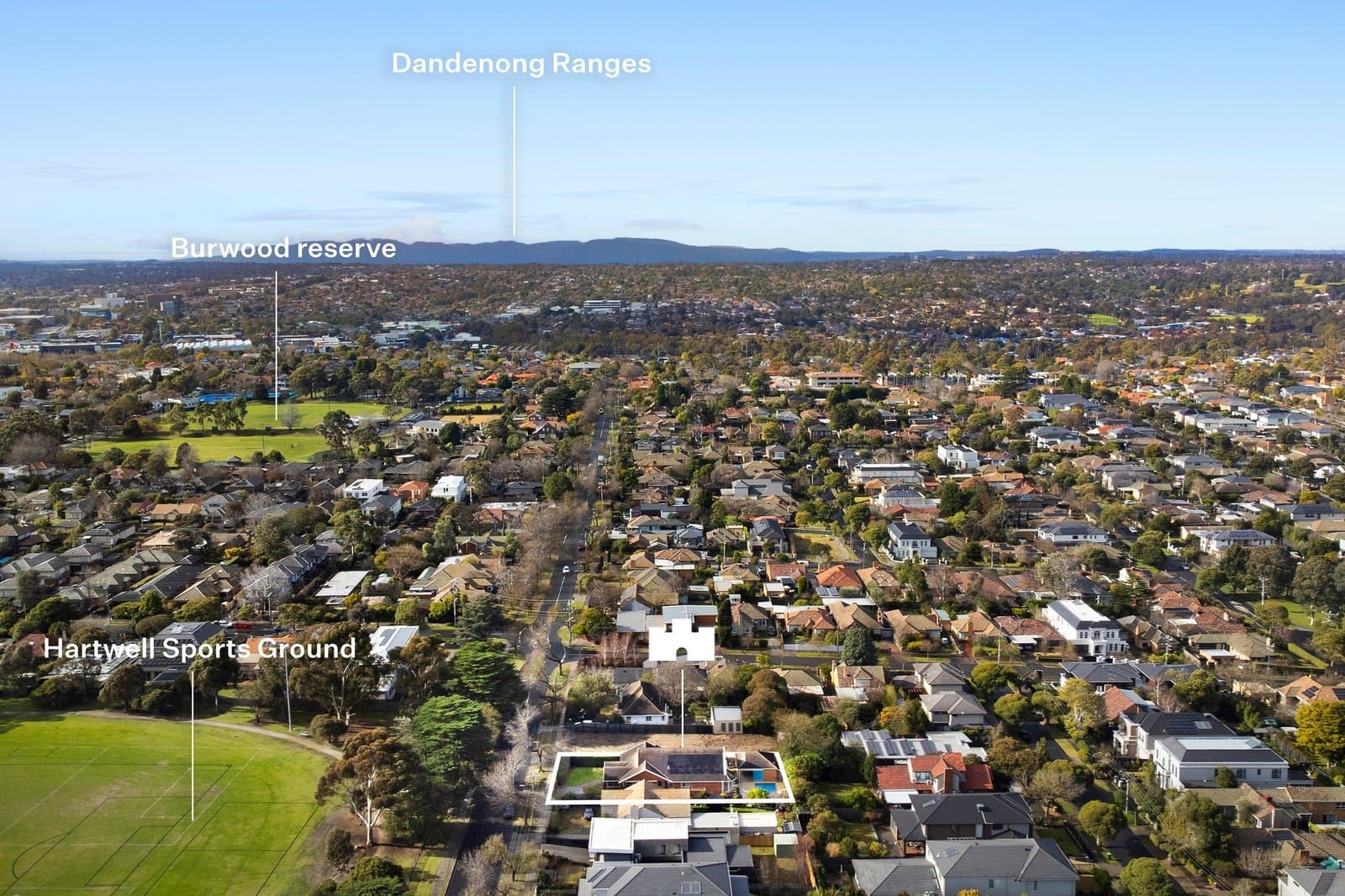 50 Bath Road, Glen Iris - Thumbnail 7