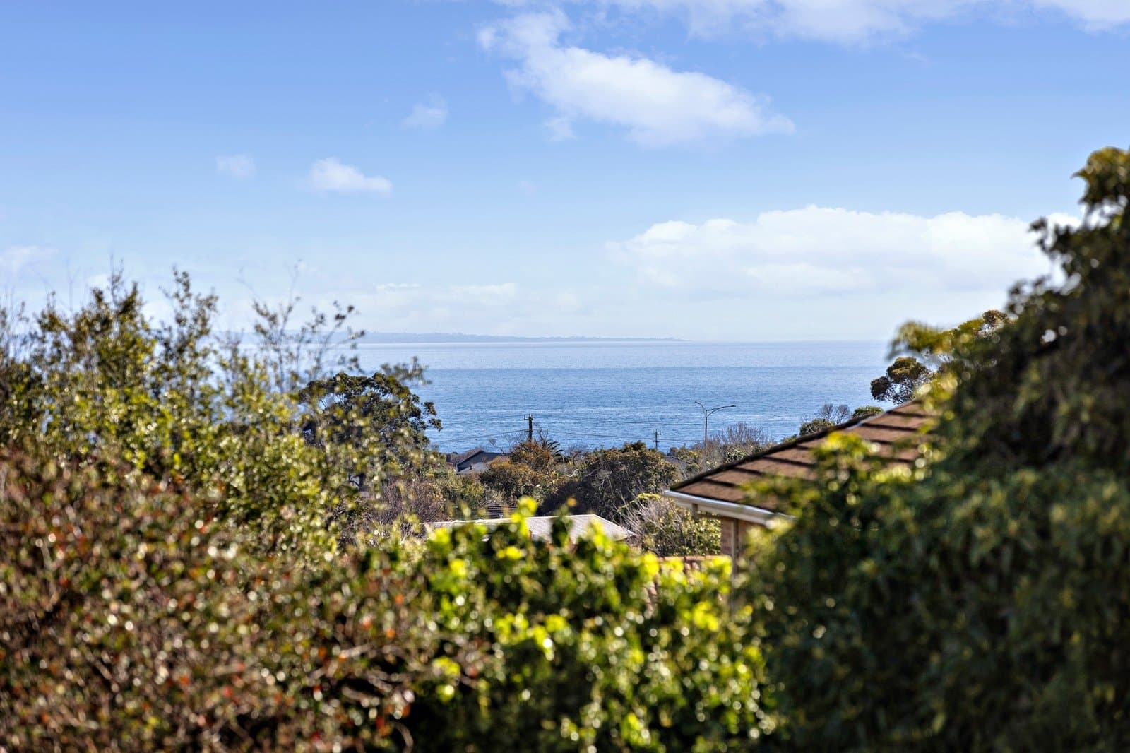 3 Milewa Court, Mornington - Thumbnail 5