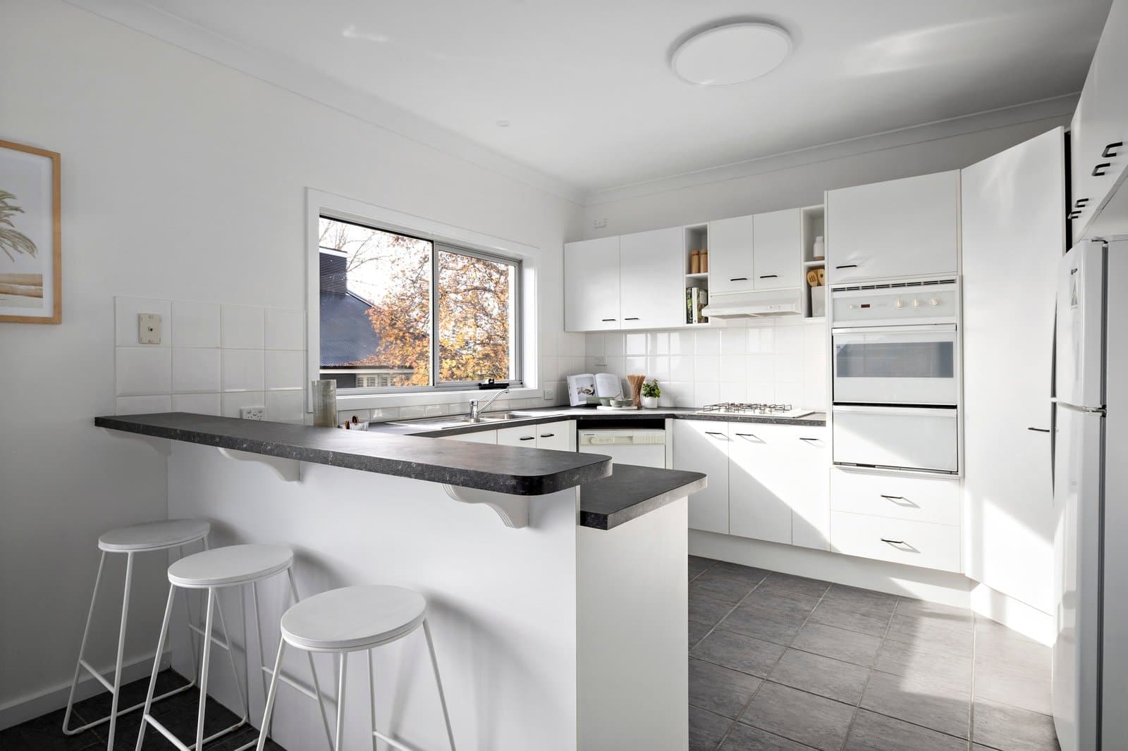 15 Franklin Place, Mornington - Thumbnail 8