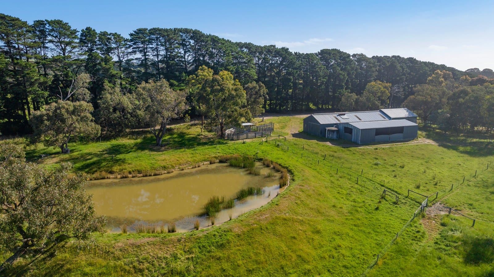 365 Wallaces Road, Dromana - Thumbnail 3