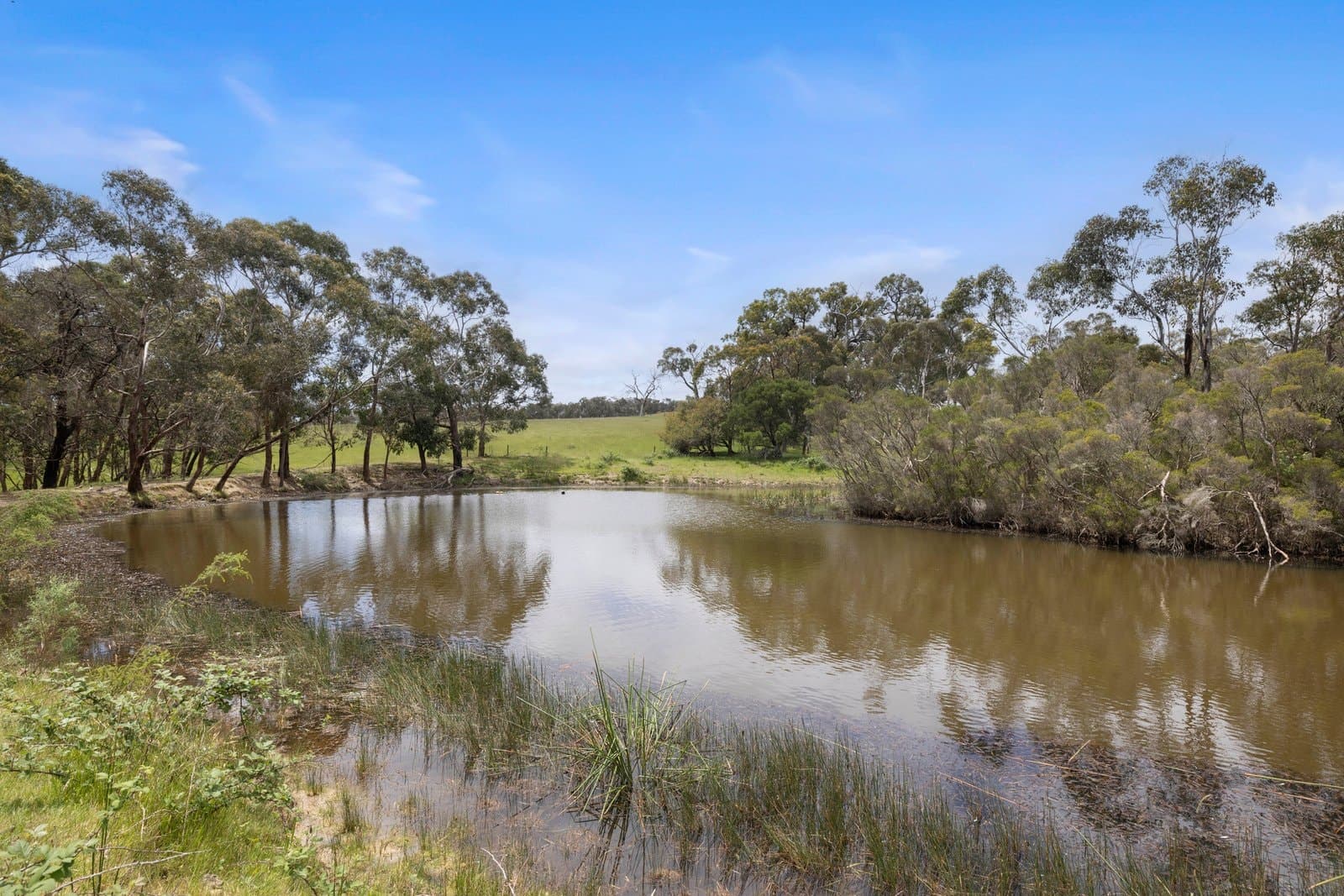 365 Wallaces Road, Dromana - Thumbnail 4