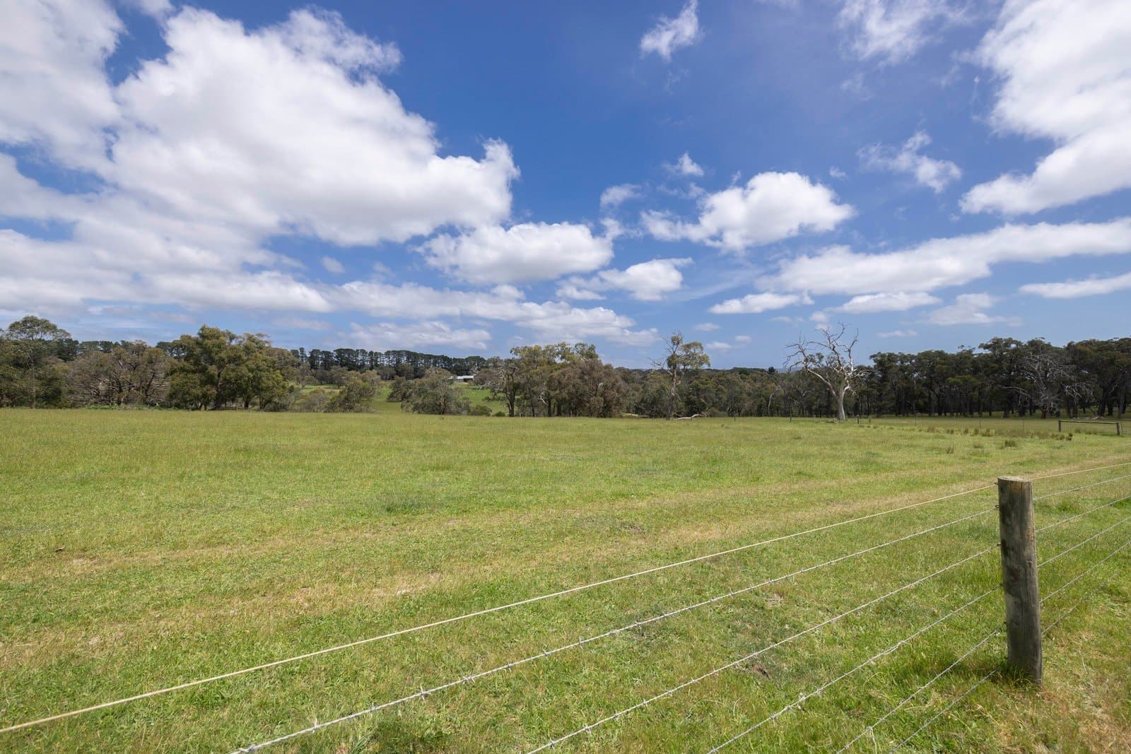 365 Wallaces Road, Dromana - Thumbnail 6