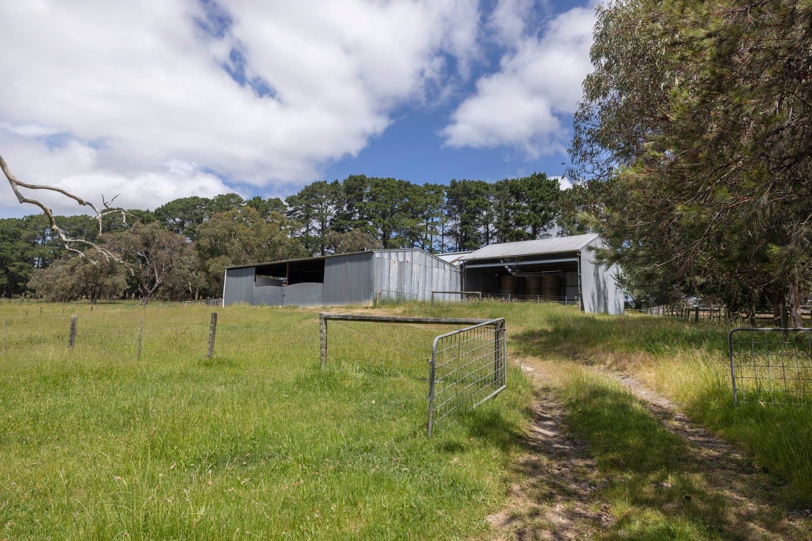 365 Wallaces Road, Dromana - Thumbnail 7
