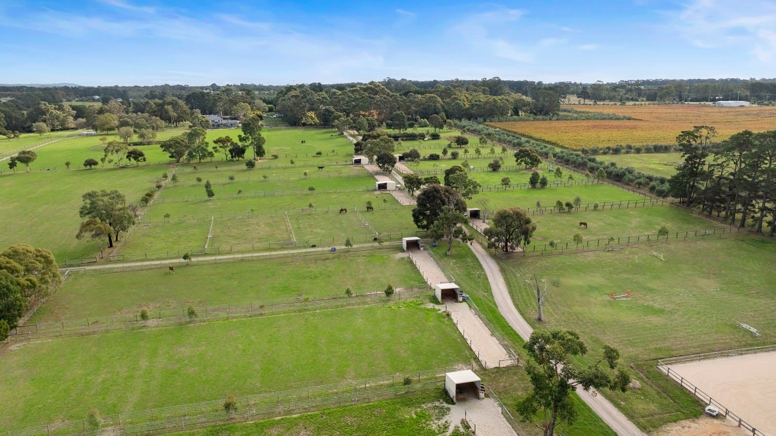 177 Coolart Road, Hastings - Thumbnail 2