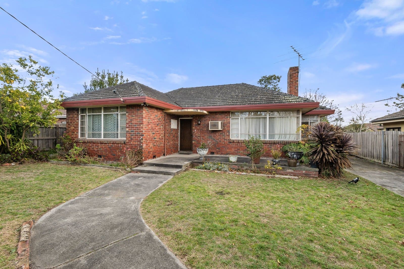 103 Chadstone Road, Malvern East - Thumbnail 2