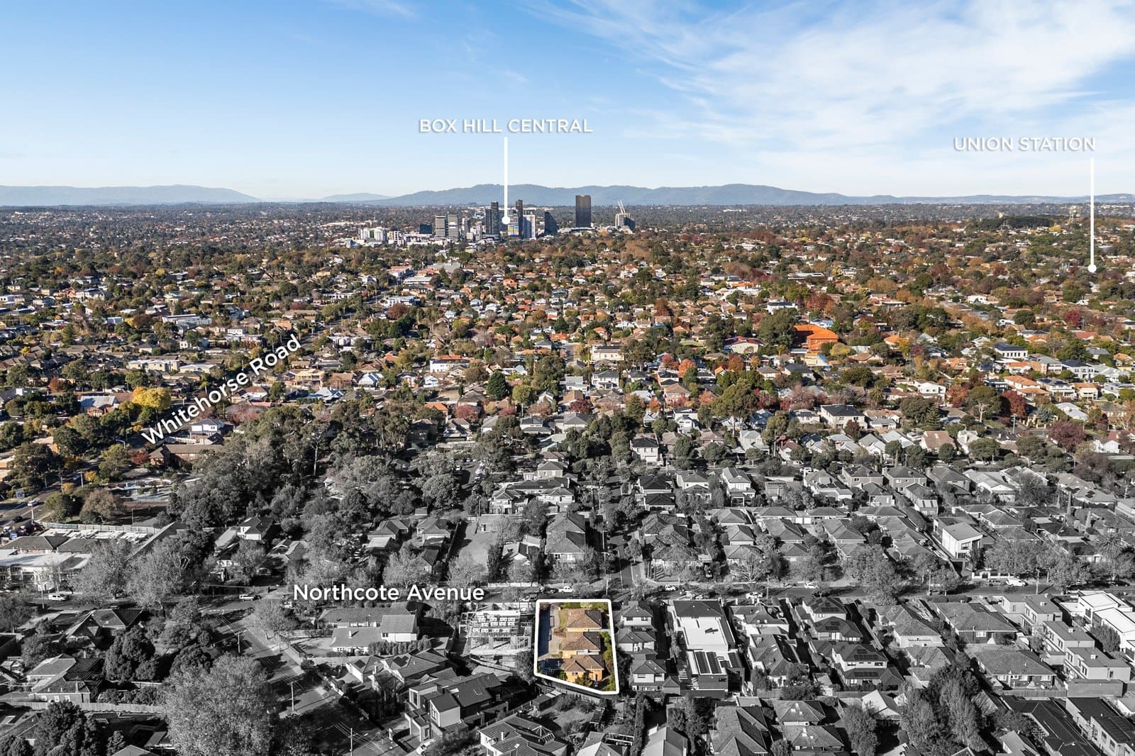 37 Northcote Avenue, Balwyn - Thumbnail 4