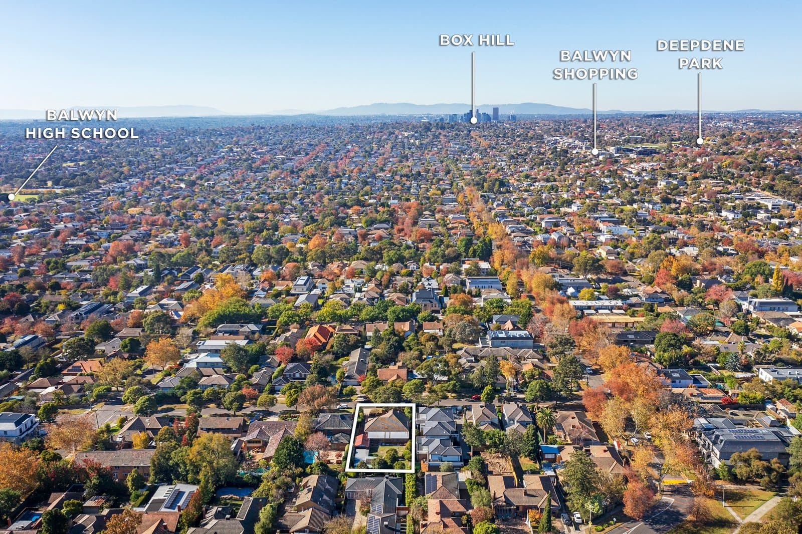 8 Wills Street, Balwyn - Thumbnail 4